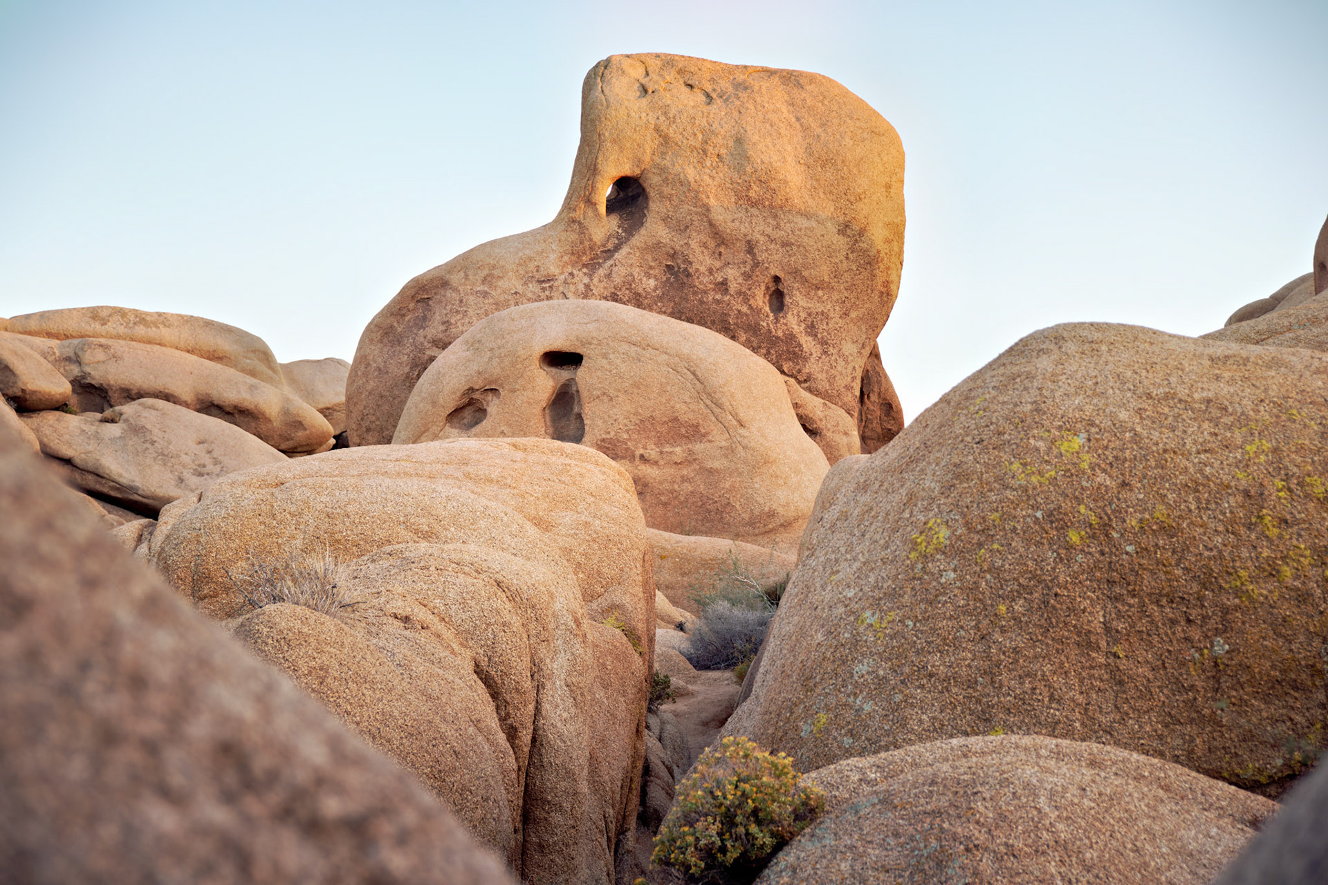 CA_JoshuaTree_20111114_0284_PS