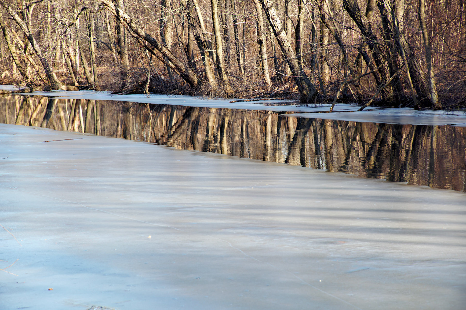 NJ_20090209_0481_PS