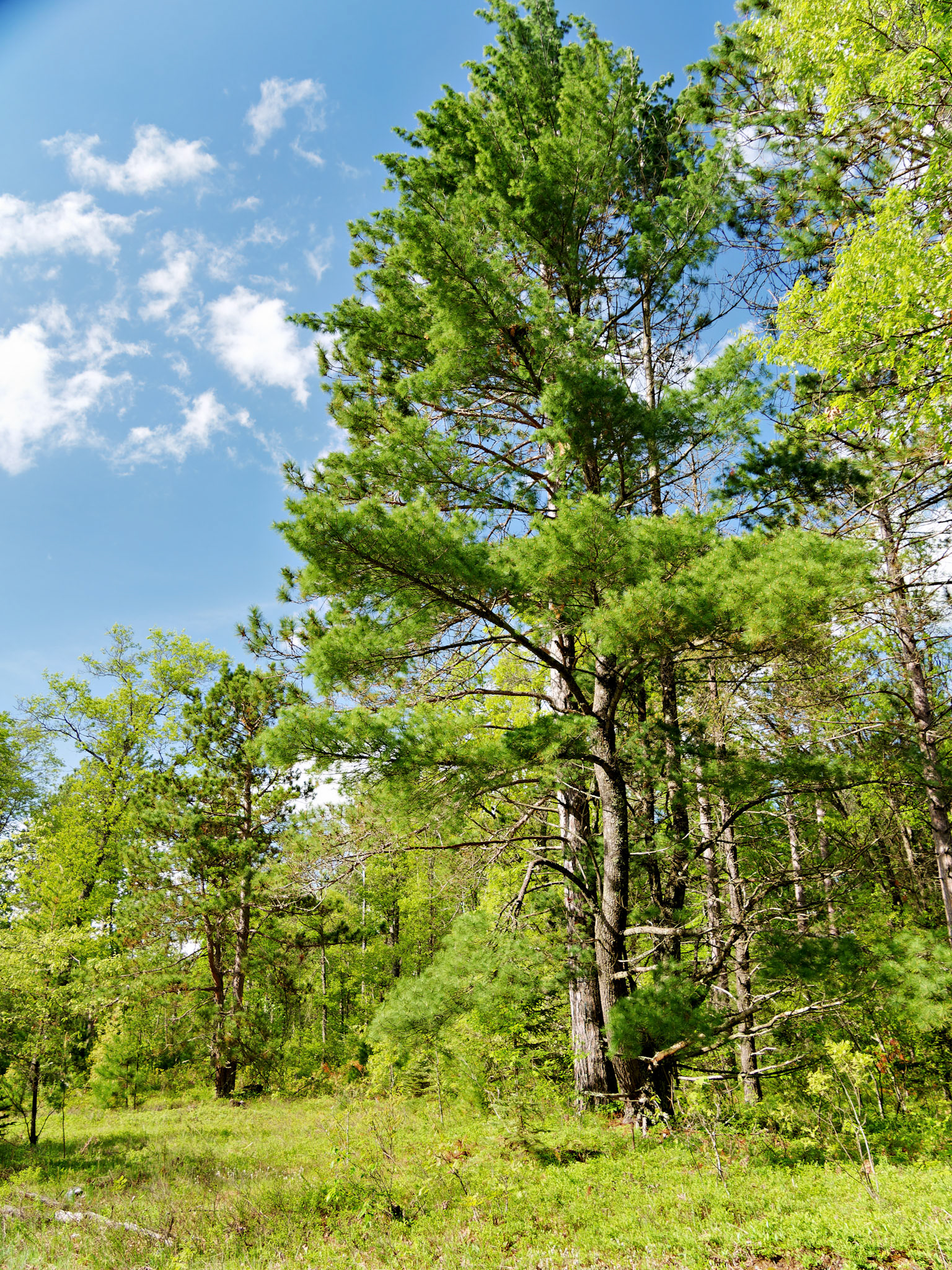 WI_North_20160528_0149_PS