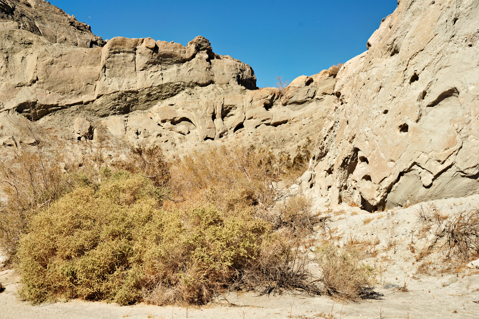 CA_PalmSprings_20111117_0537_PS