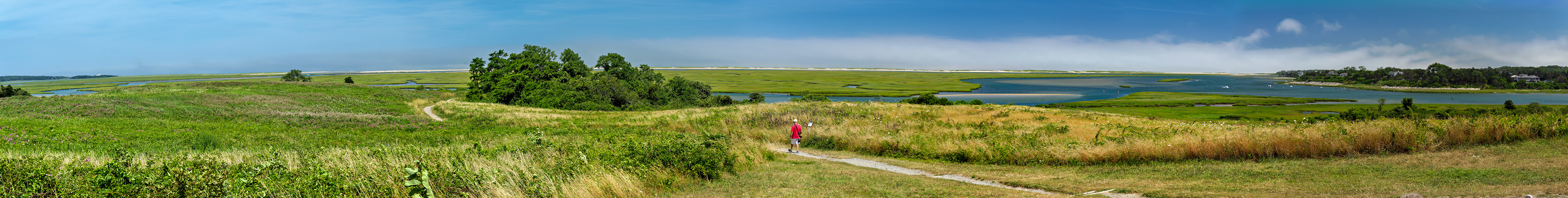 MA_CapeCodNatShore_20180723_0054_PS.tif