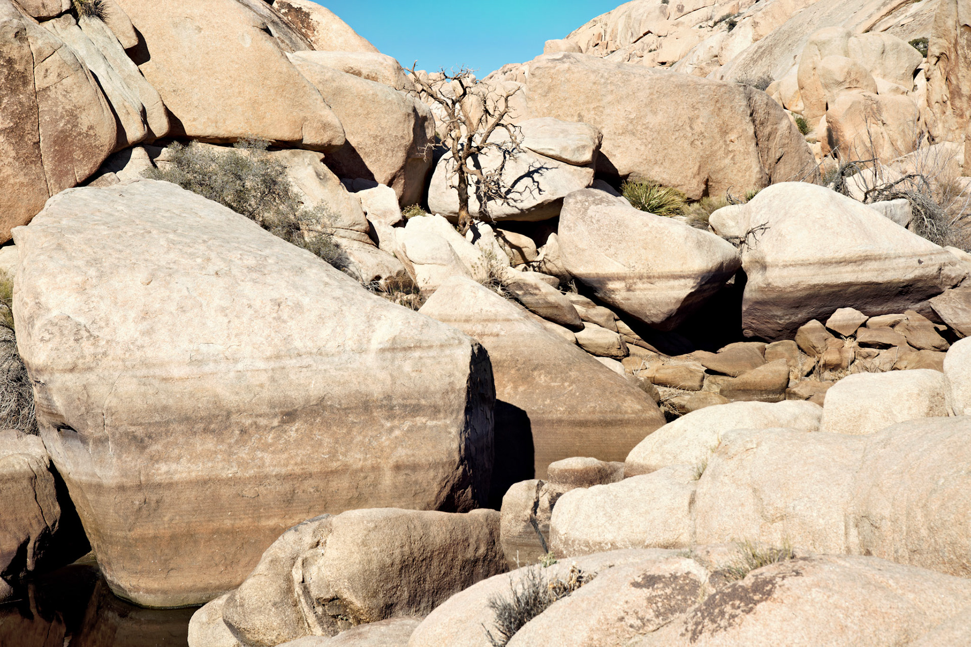 CA_PalmSprings_20090115_0238_PS