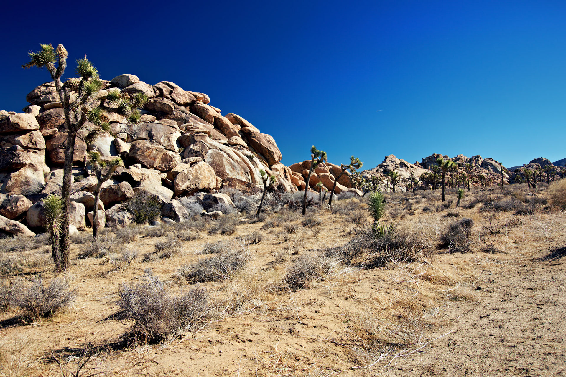 CA_PalmSprings_20090115_0209_PS