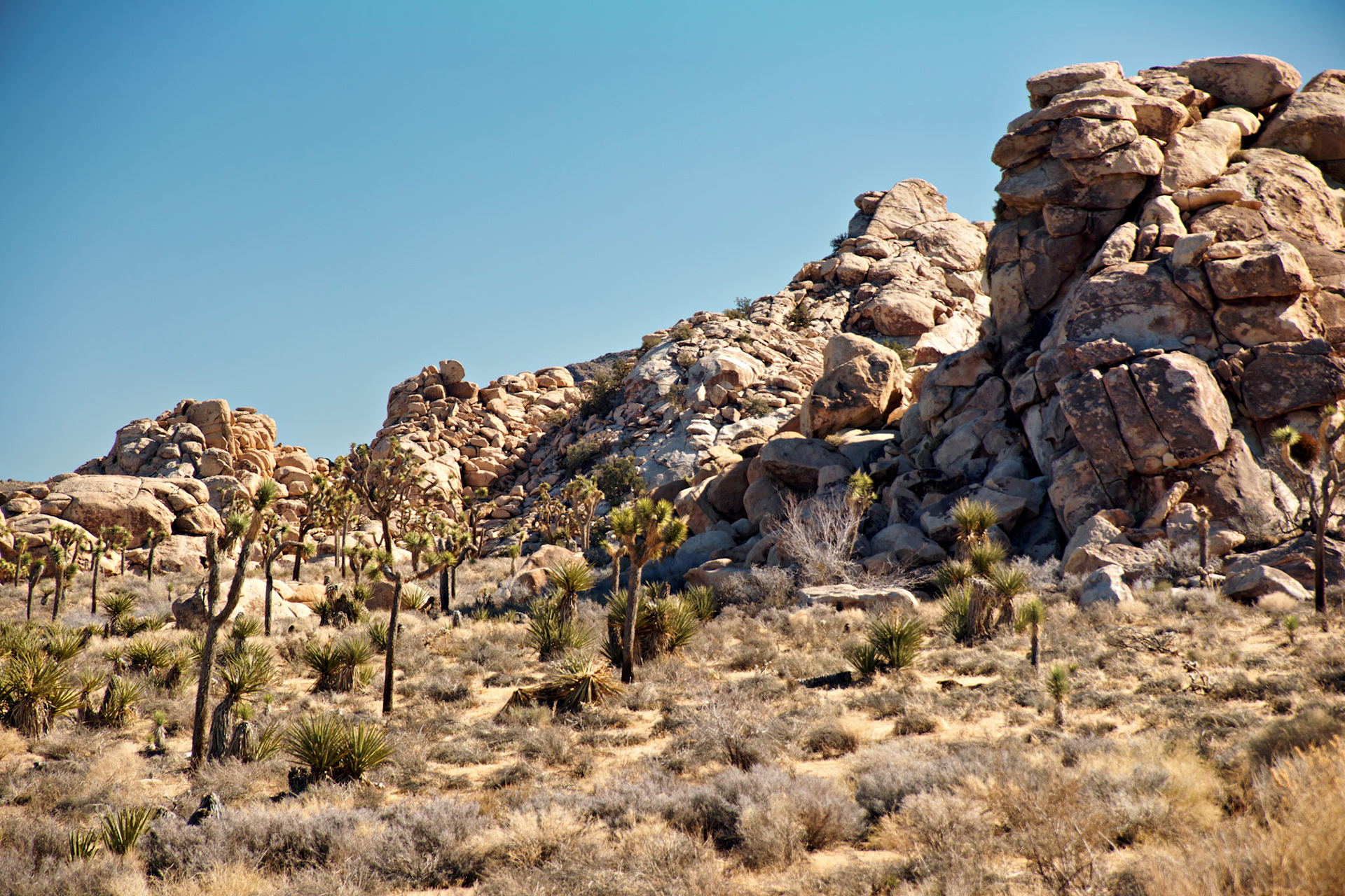 CA_PalmSprings_20090115_0207_PS
