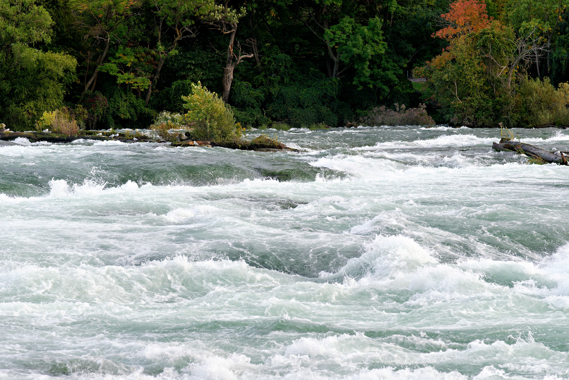 NY_NiagraFalls_20120922_0024_PS.tif