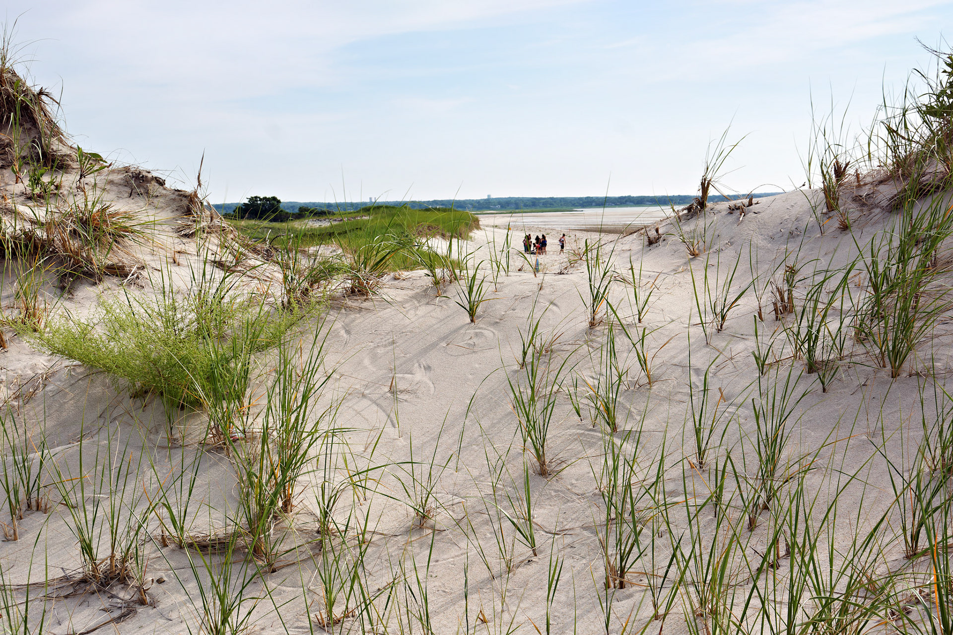 MA_CapeCod_20150717_0224_PS