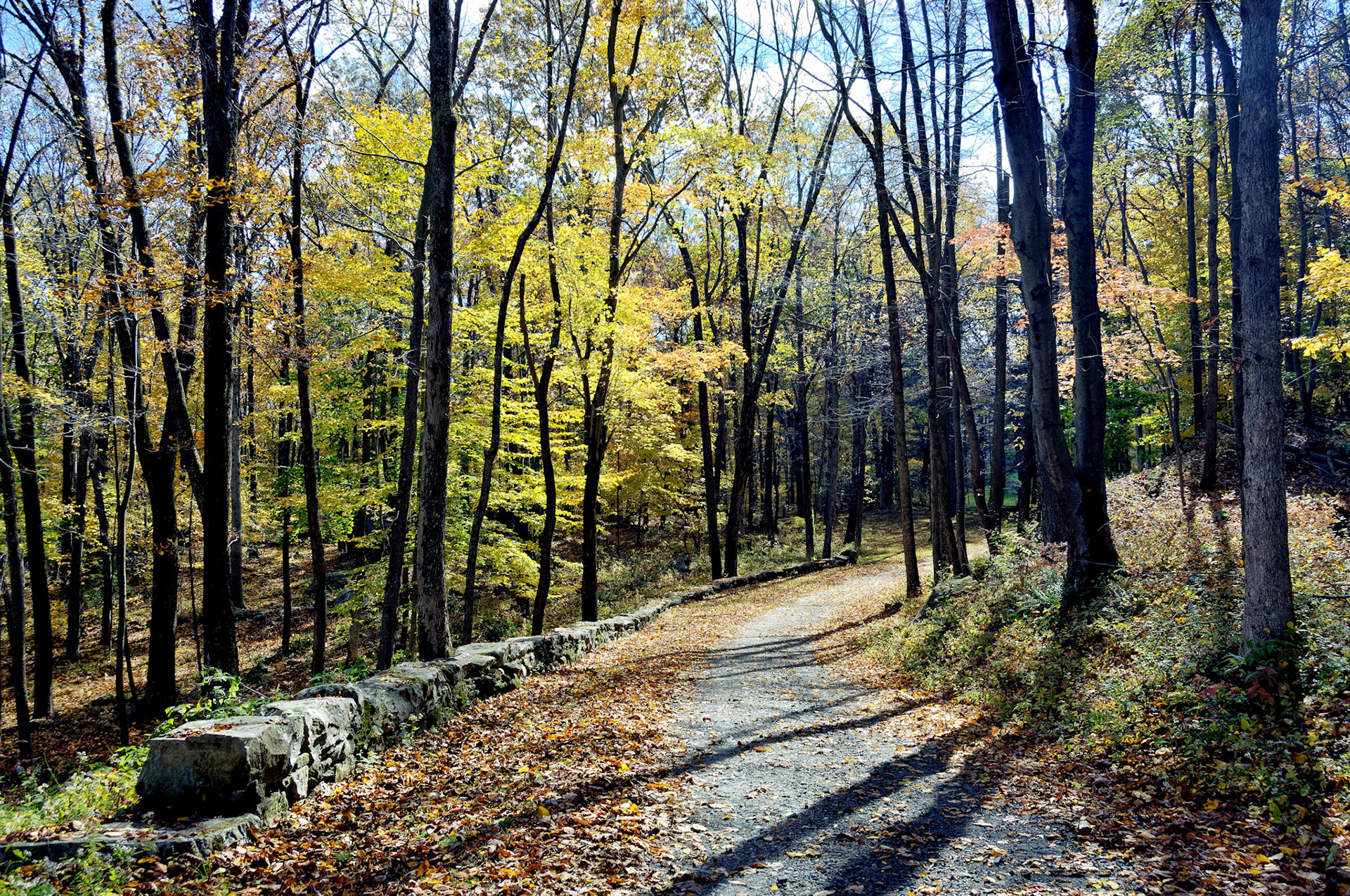 CT_20061021_0229_PS