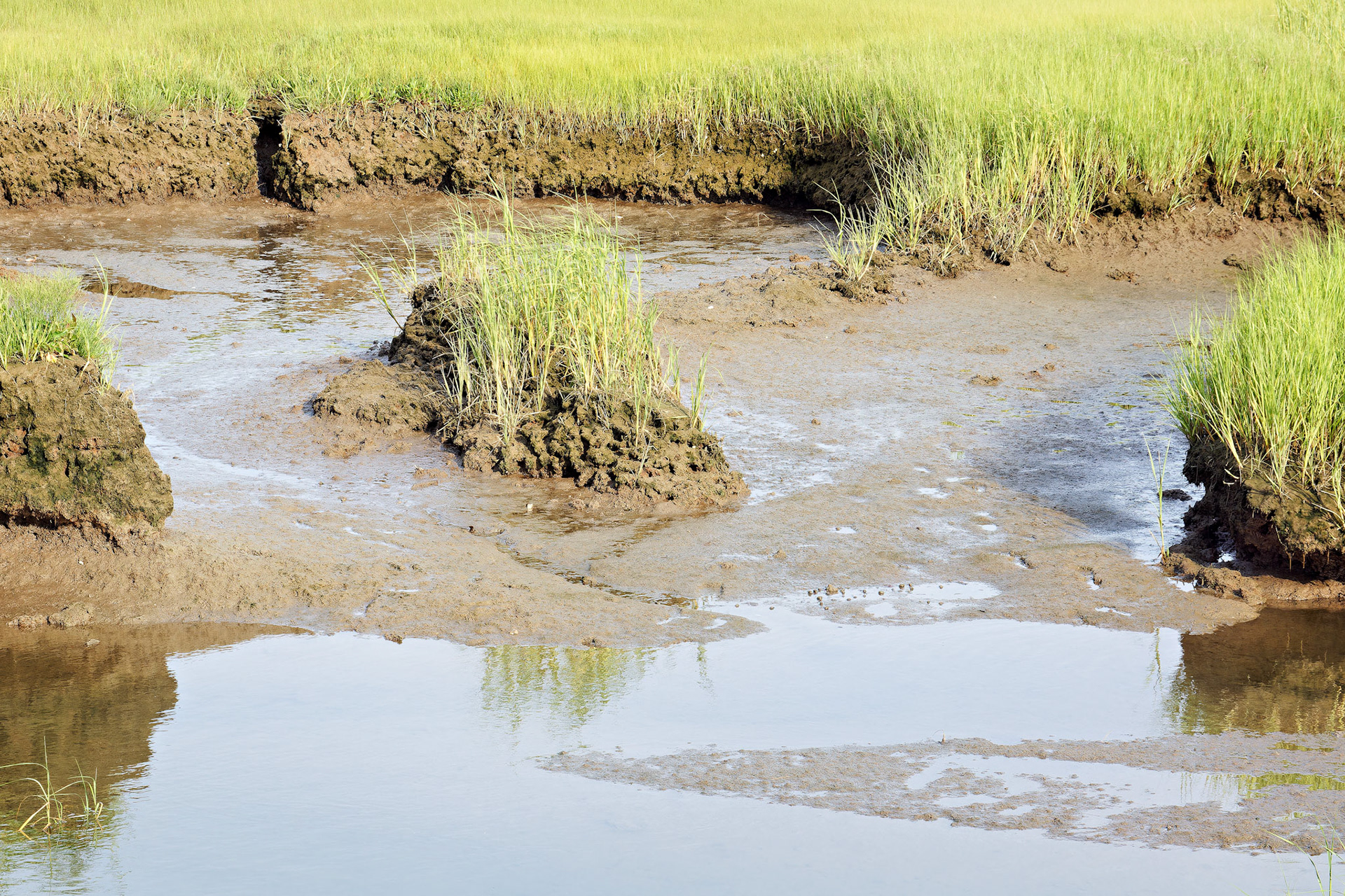 MA_CapeCod_20150717_0253_PS.dng