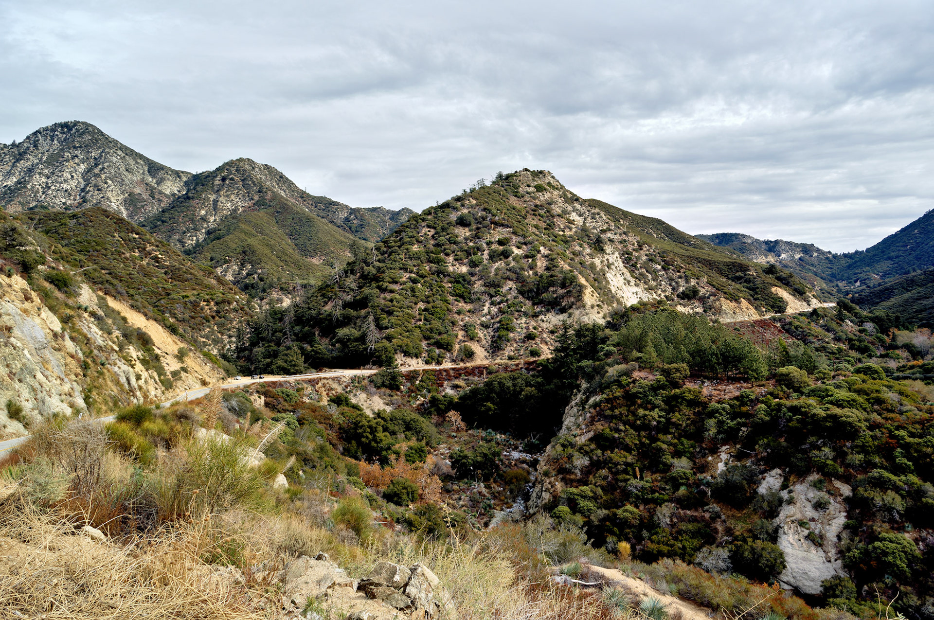 CA_LA_20051220_0265_PS.dng