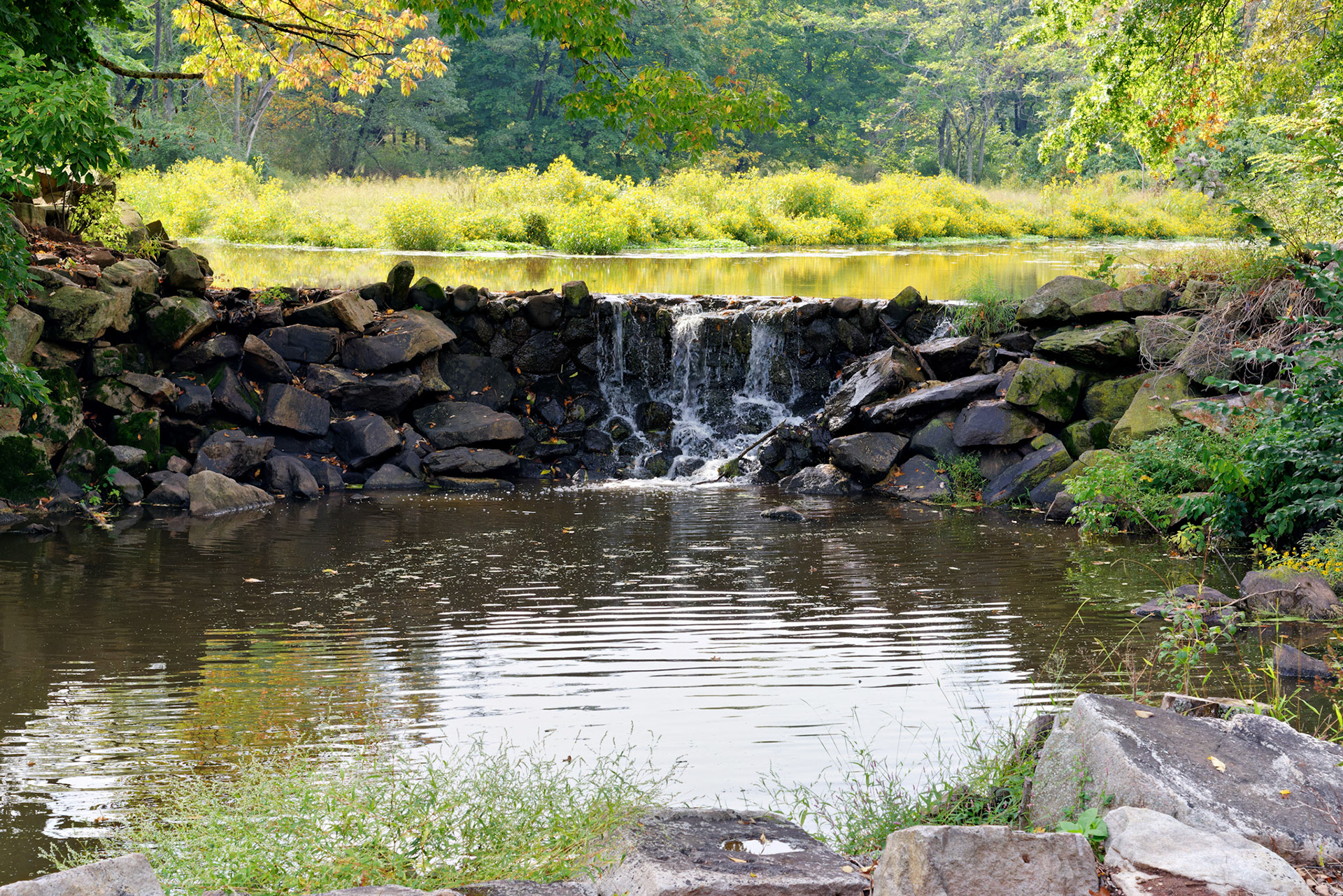 NJ_DukeEstate_20120928_0130_PS
