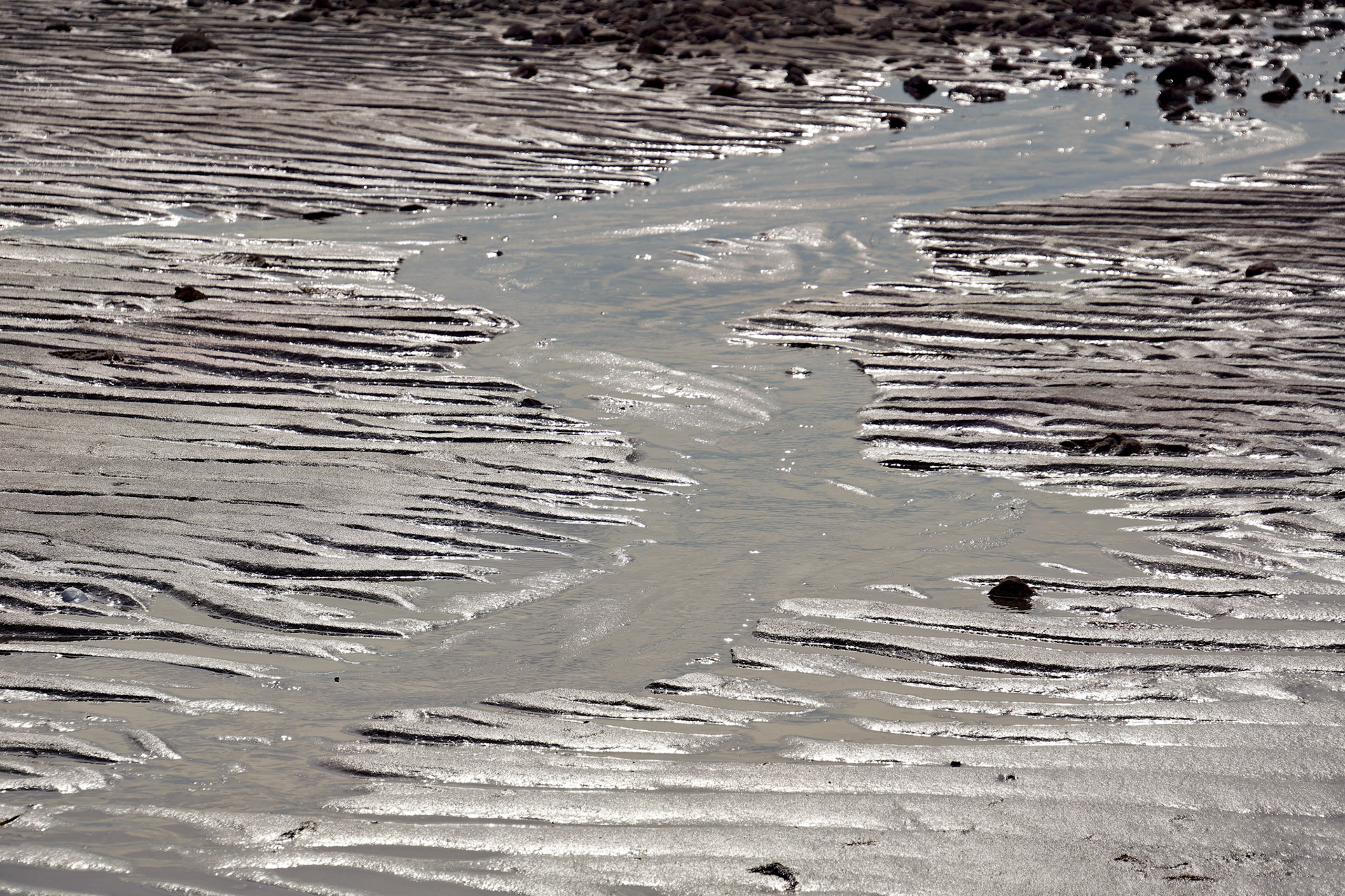 MA_CapeCod_20150717_0213_PS