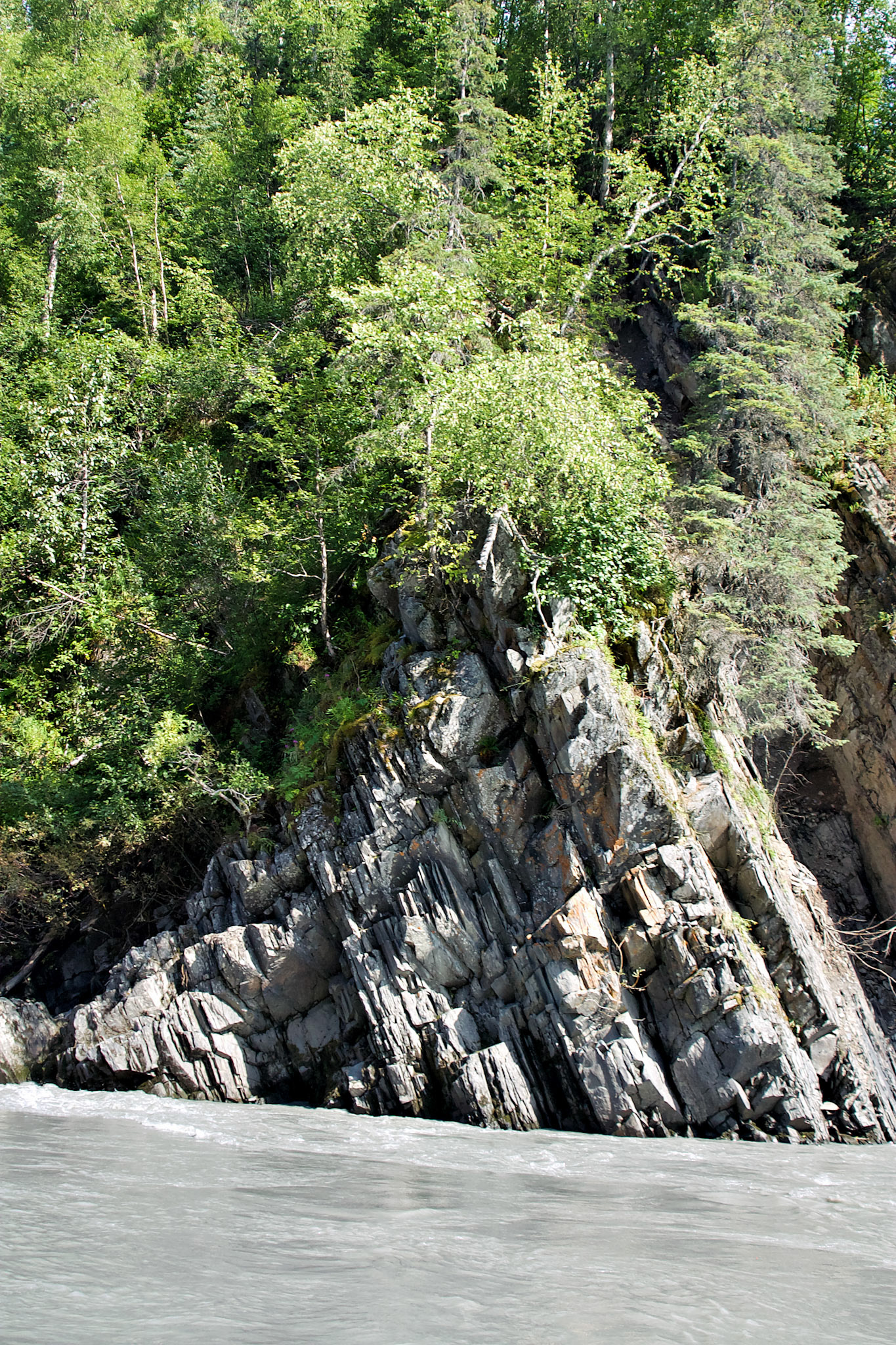AK_20030806_0721_PS.dng