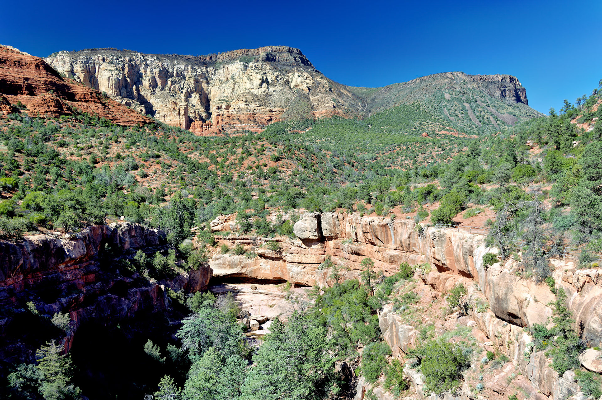 AZ_20060918_0154_PS.dng