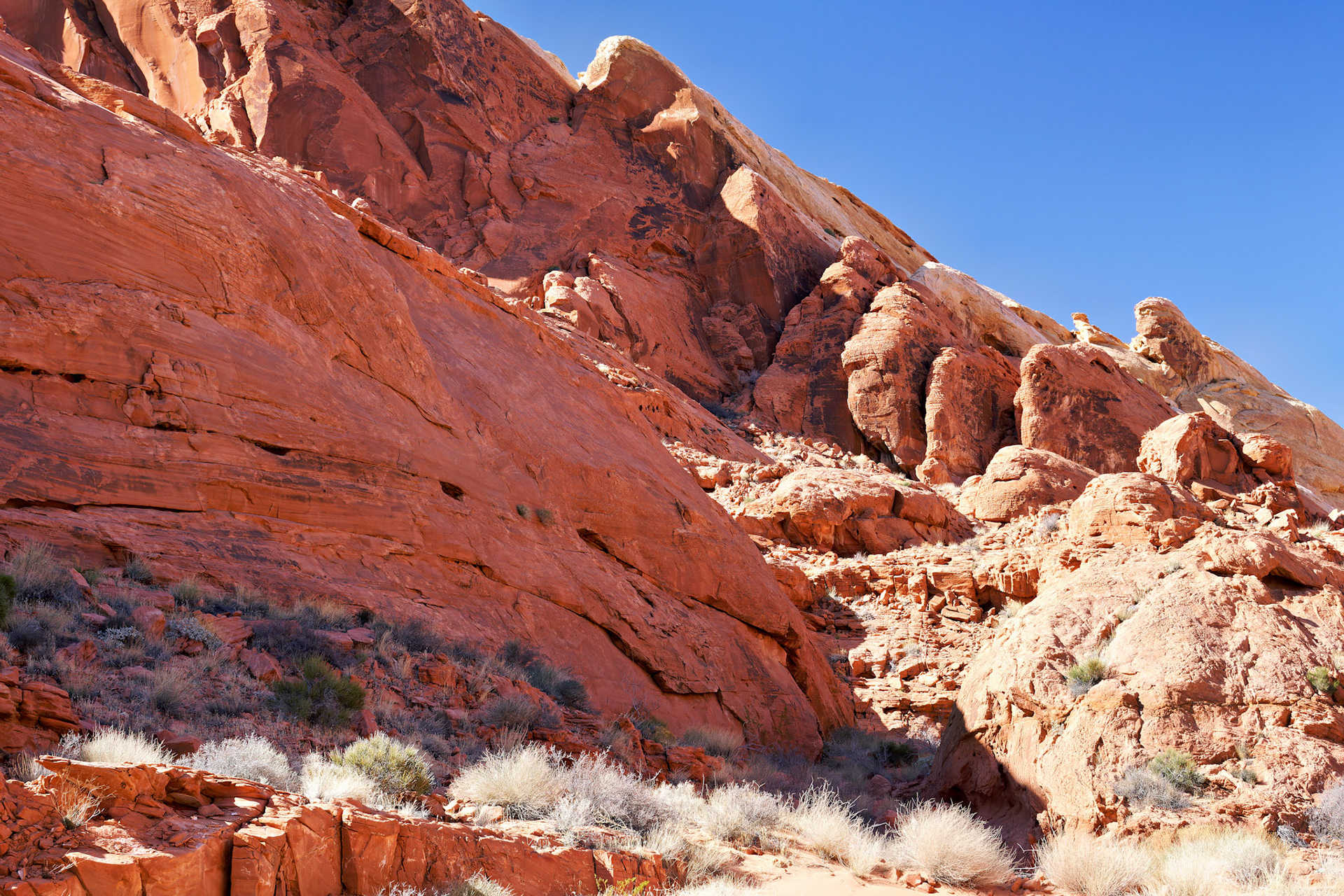 NV_Deserts_20120313_0132_PS.tif
