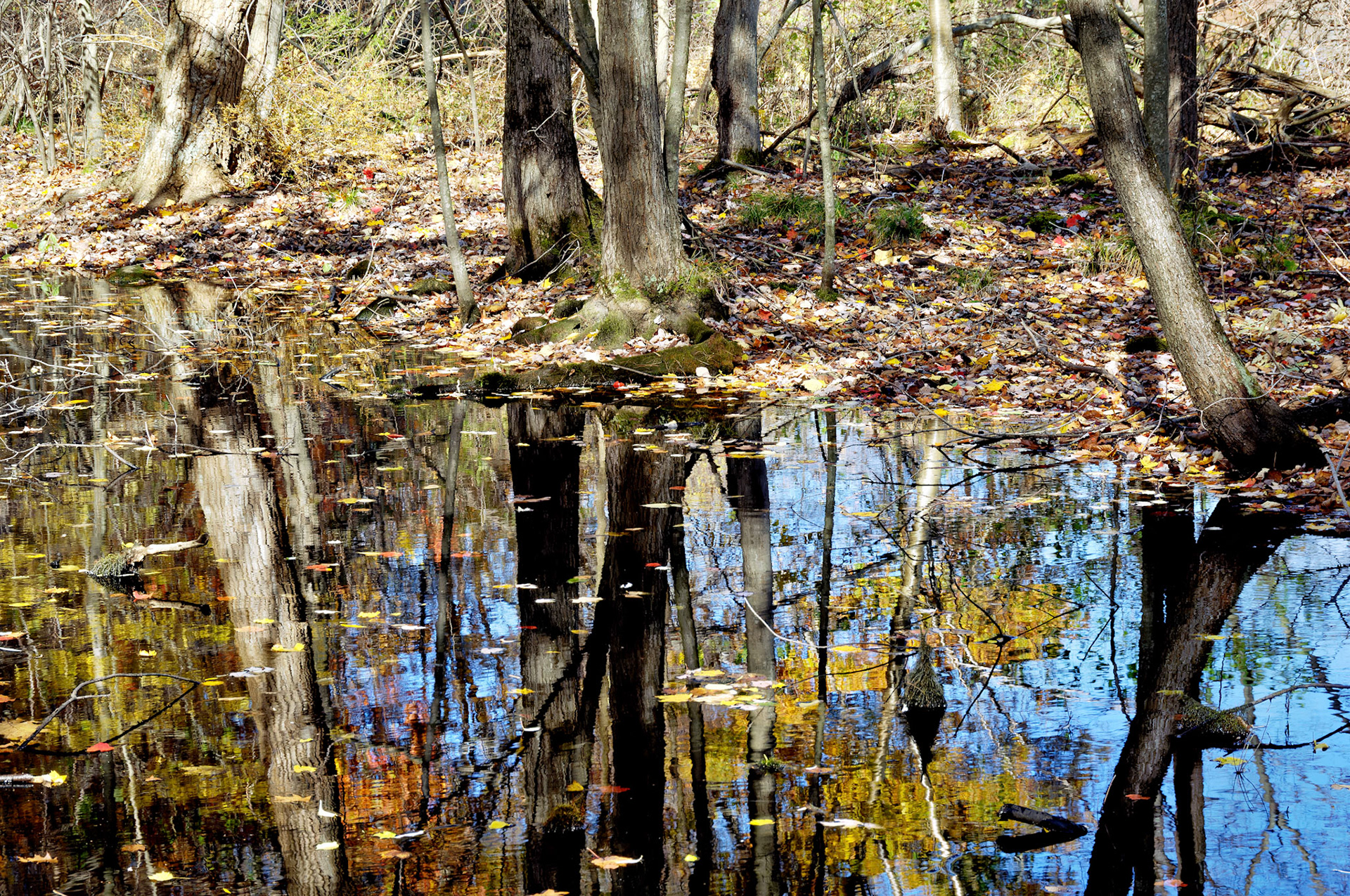 CT_20061021_0216_PS