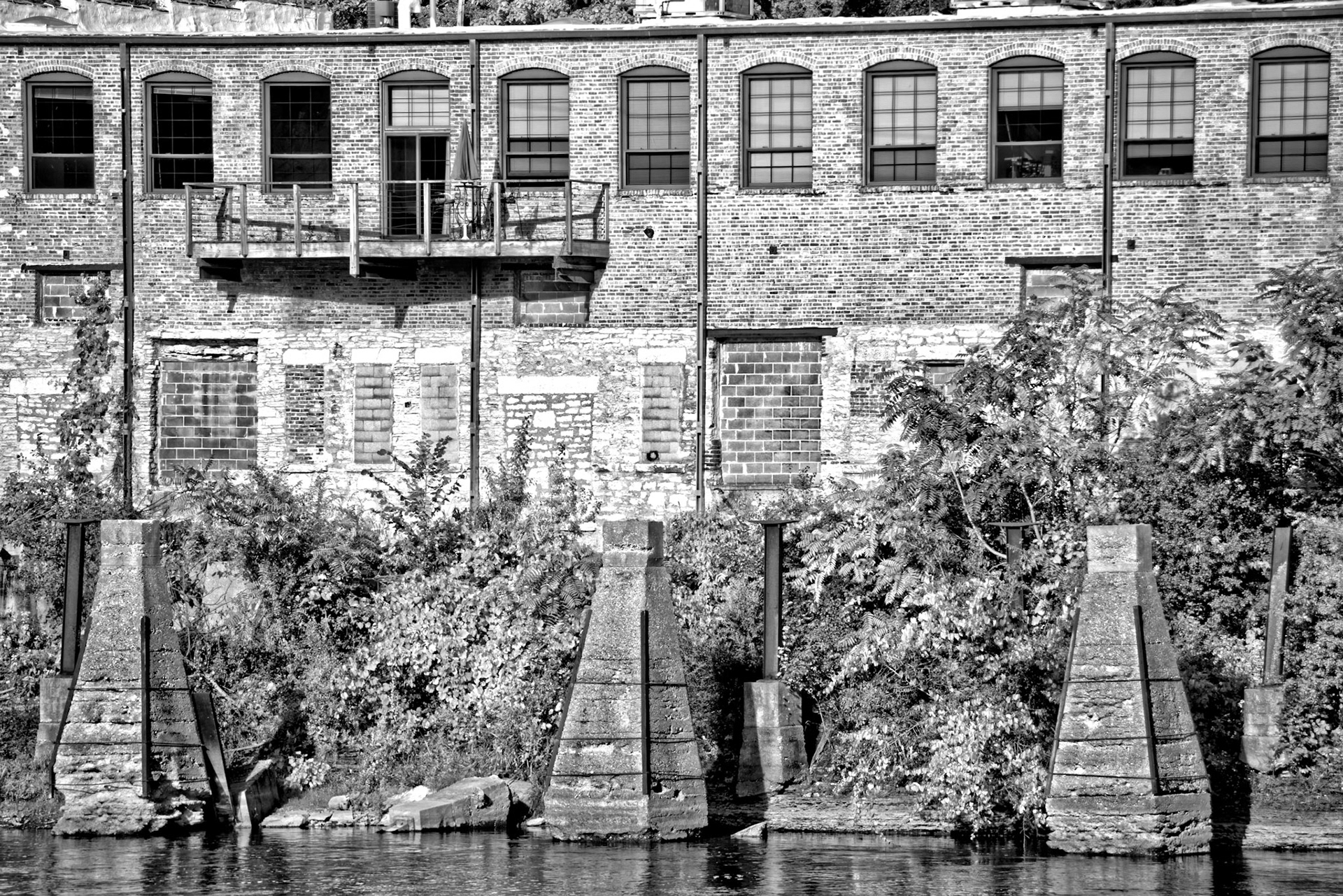 Black &amp; White 00239