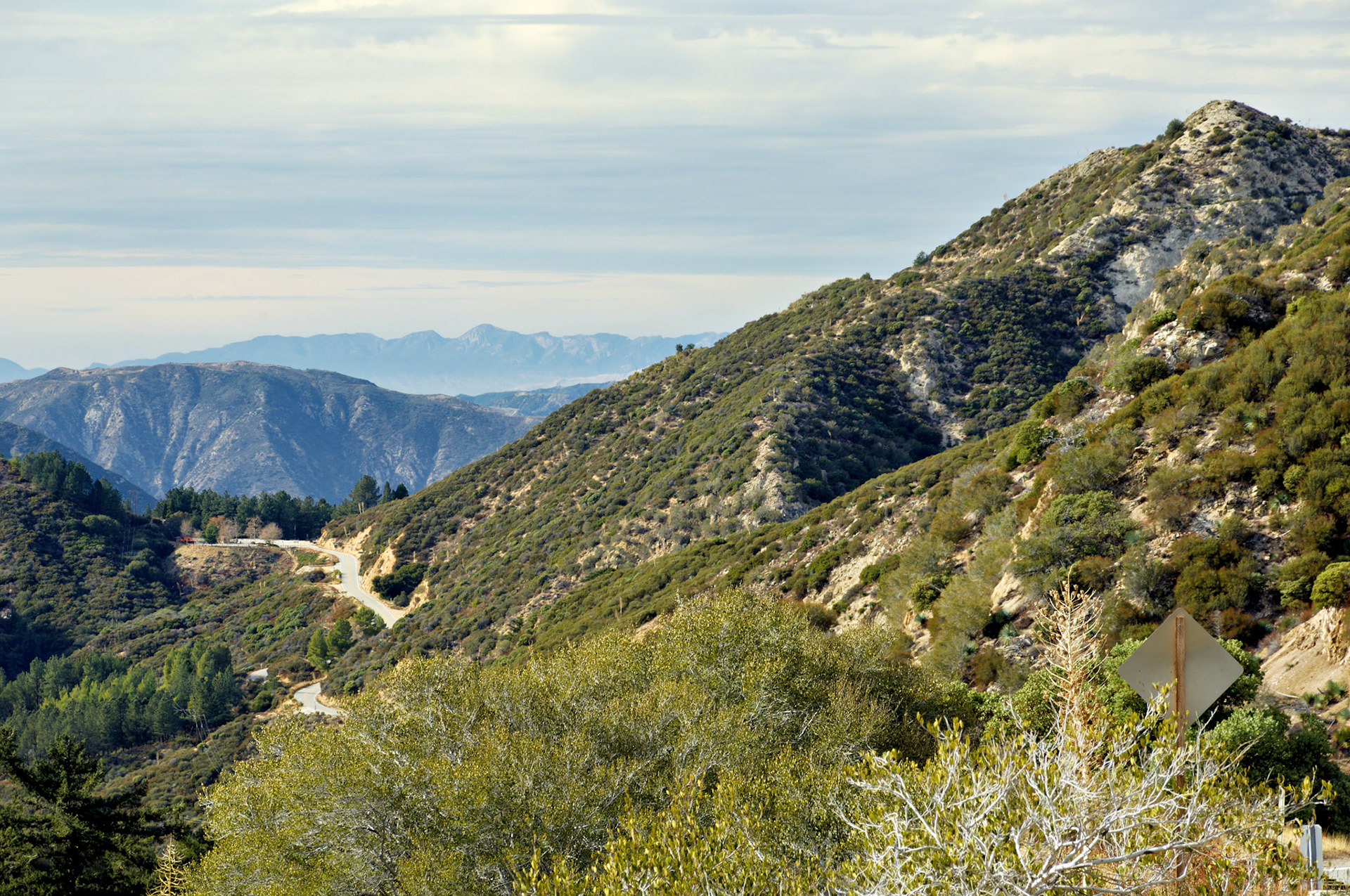 CA_LA_20051220_0290_PS