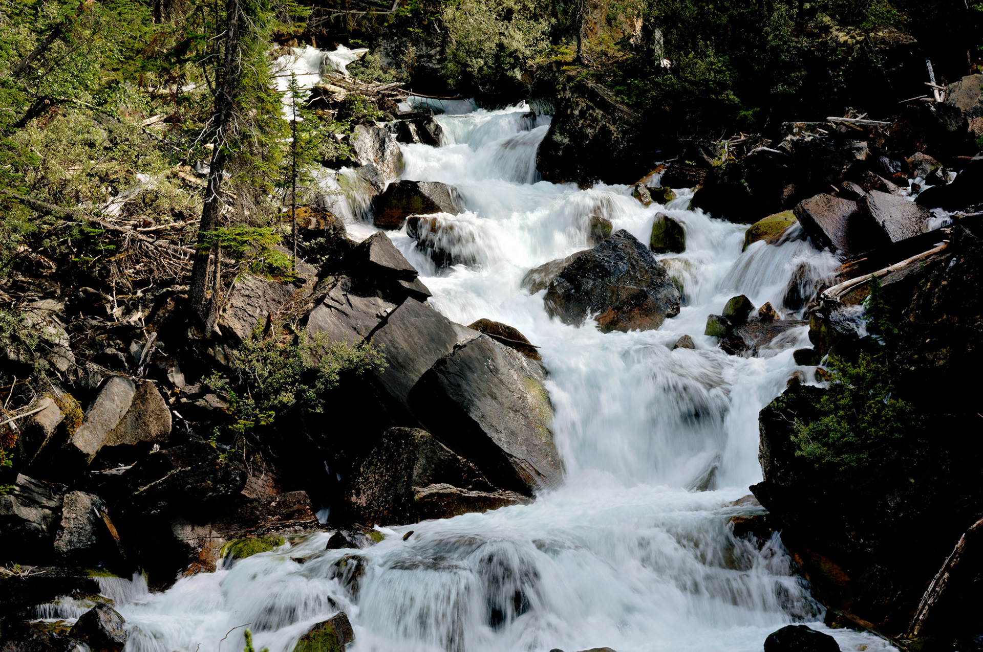 CN_20060803_0304_PS