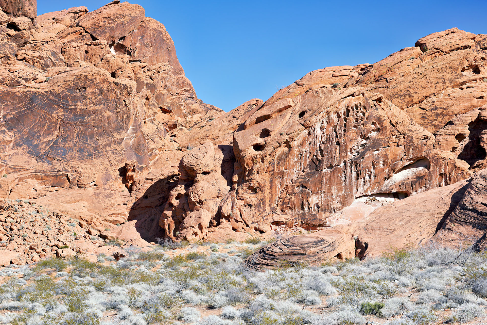 NV_Deserts_20120313_0213_PS
