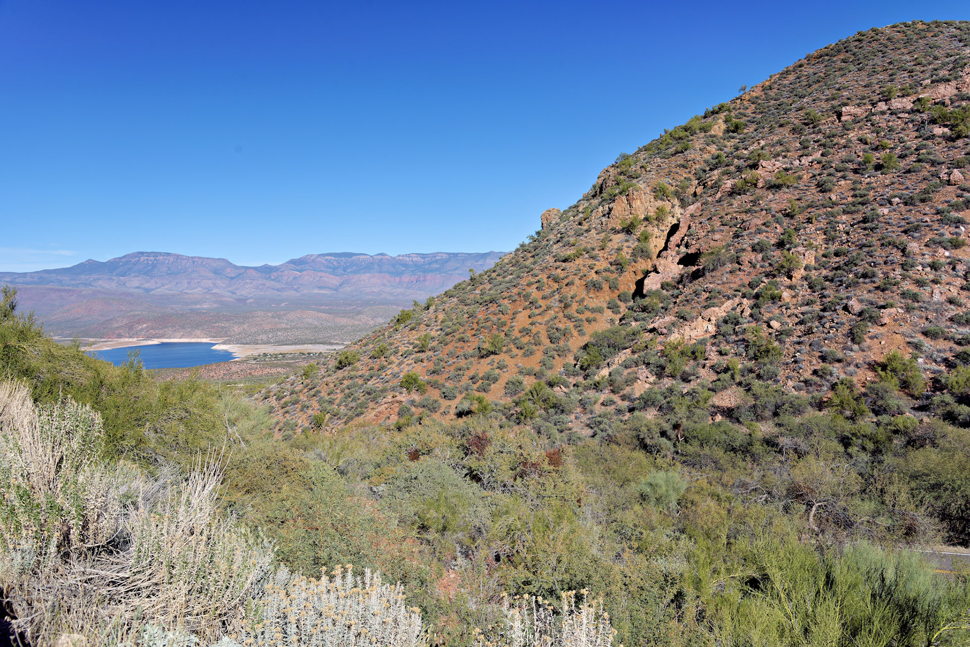 AZ_20121210_0394_PS.dng