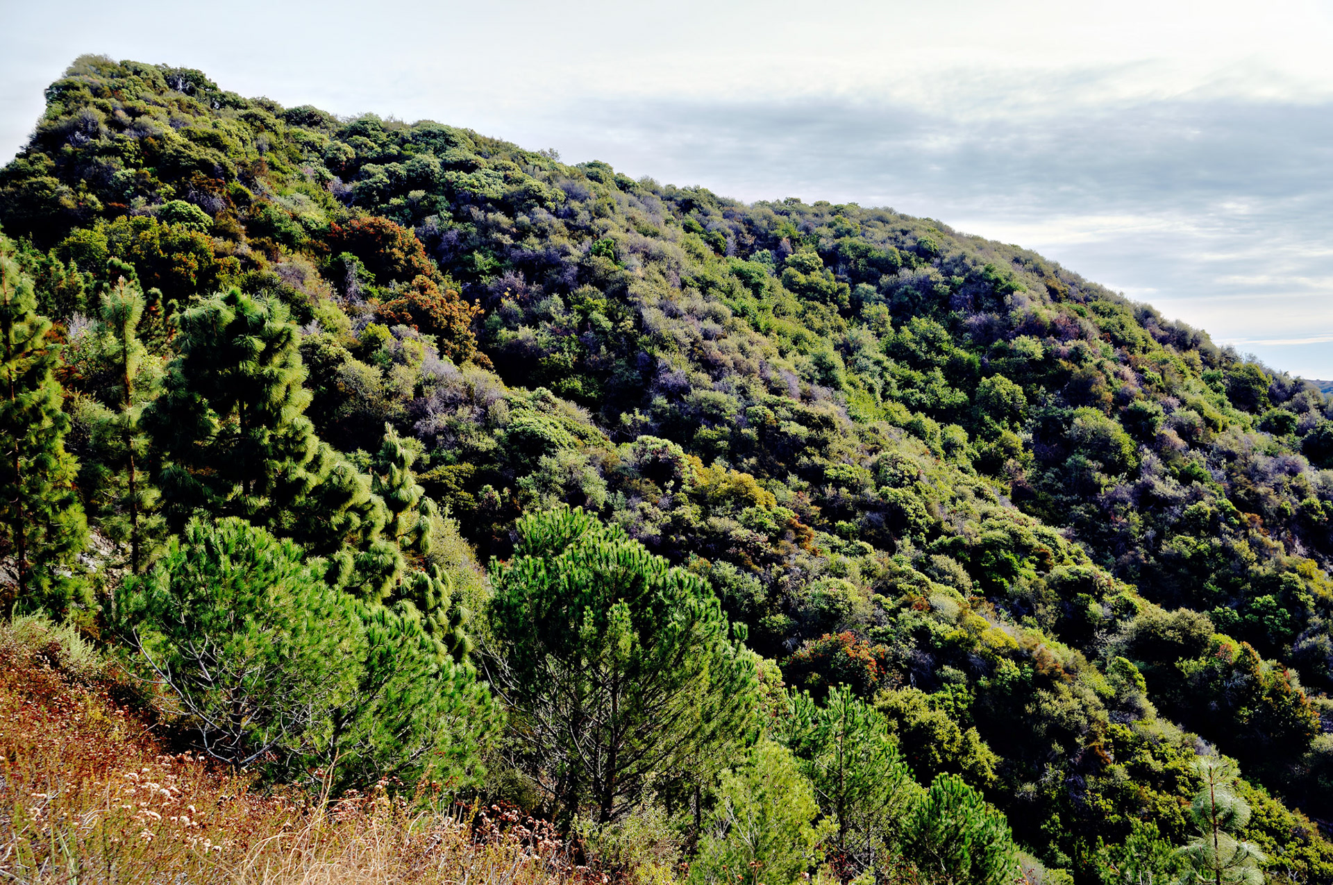 CA_LA_20051220_0230_PS
