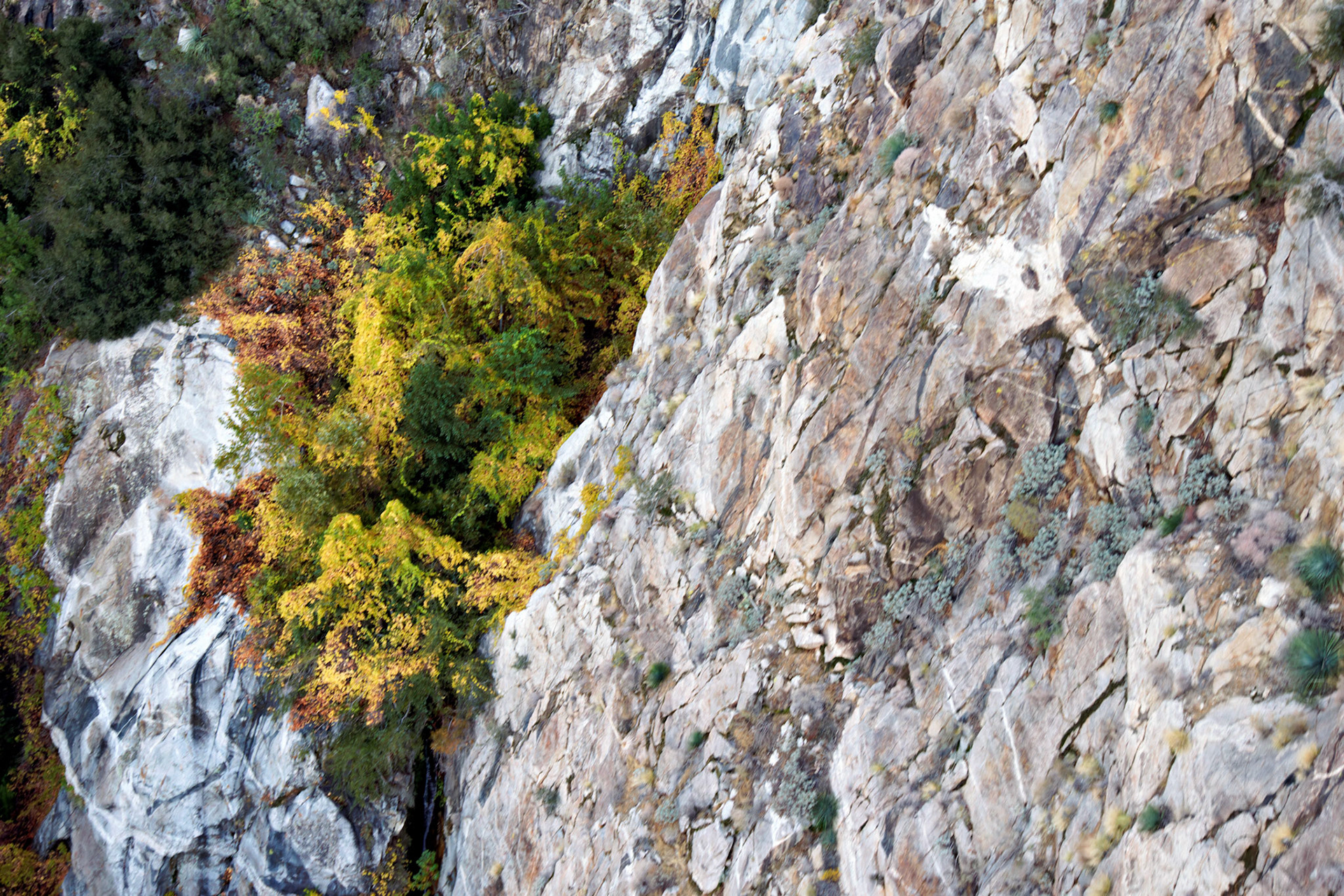 CA_PalmSprings_20111115_0391_PS