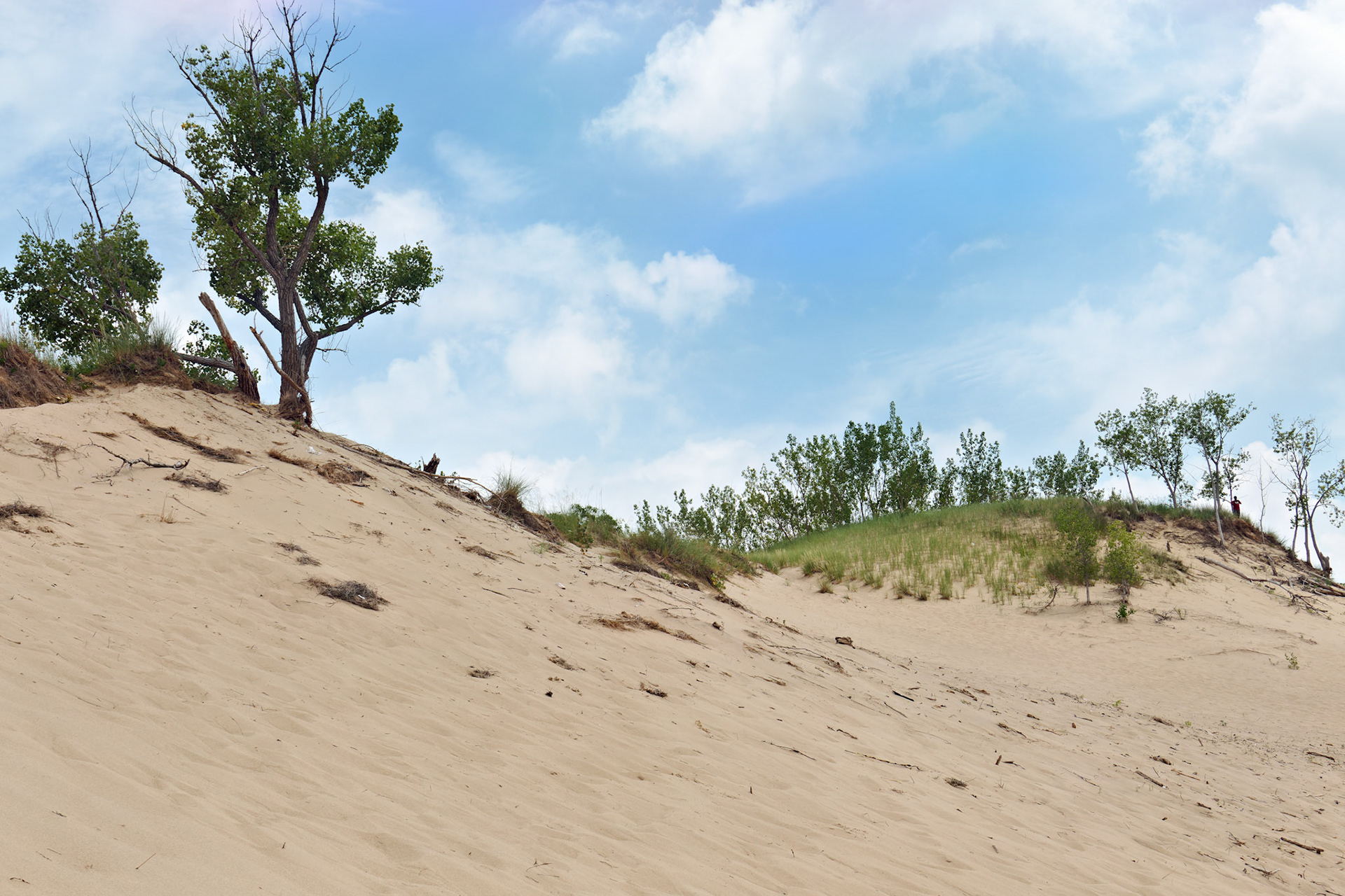 MI_New BuffaloArea_20150808_0117_PS