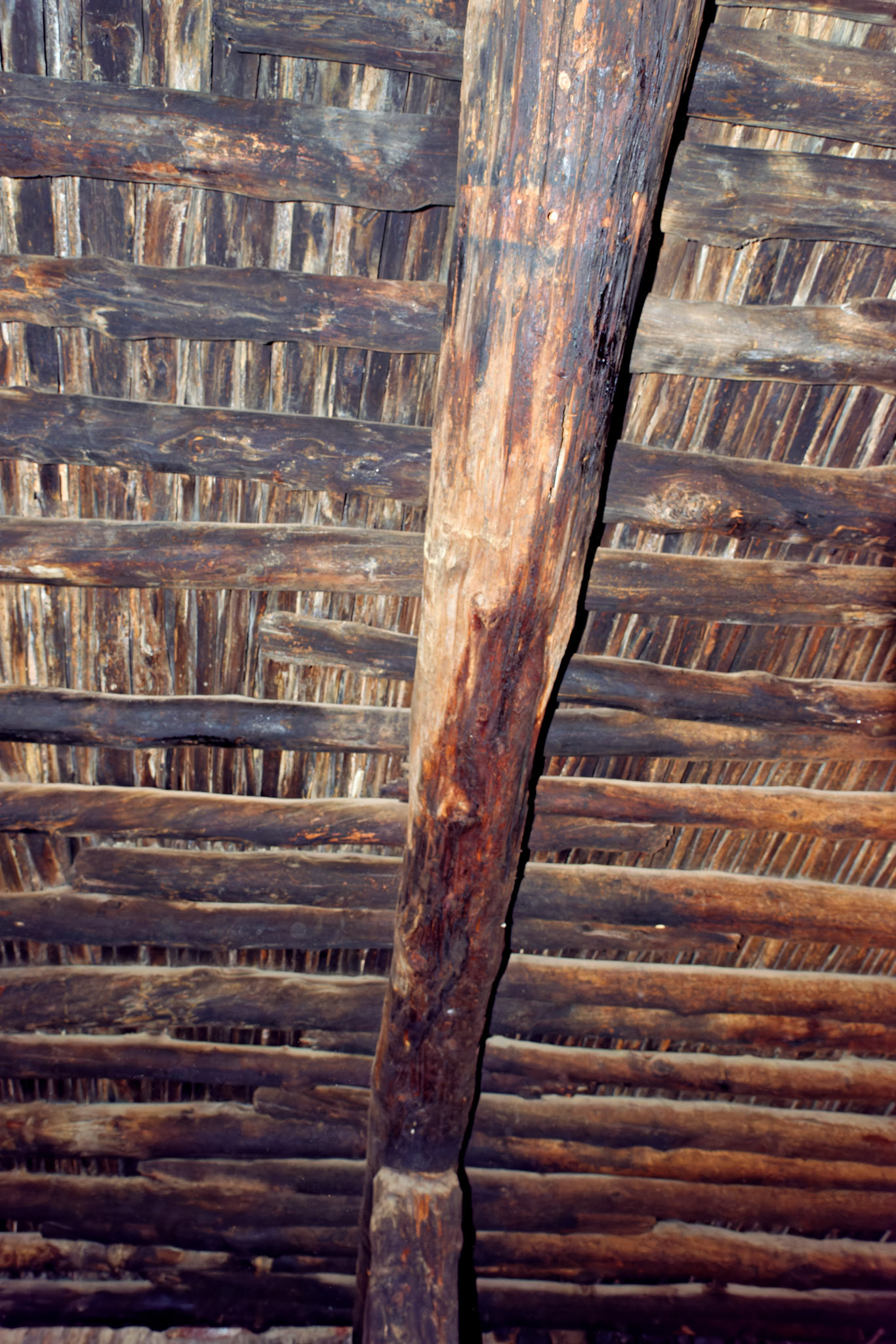 AZ_20121210_0418_PS