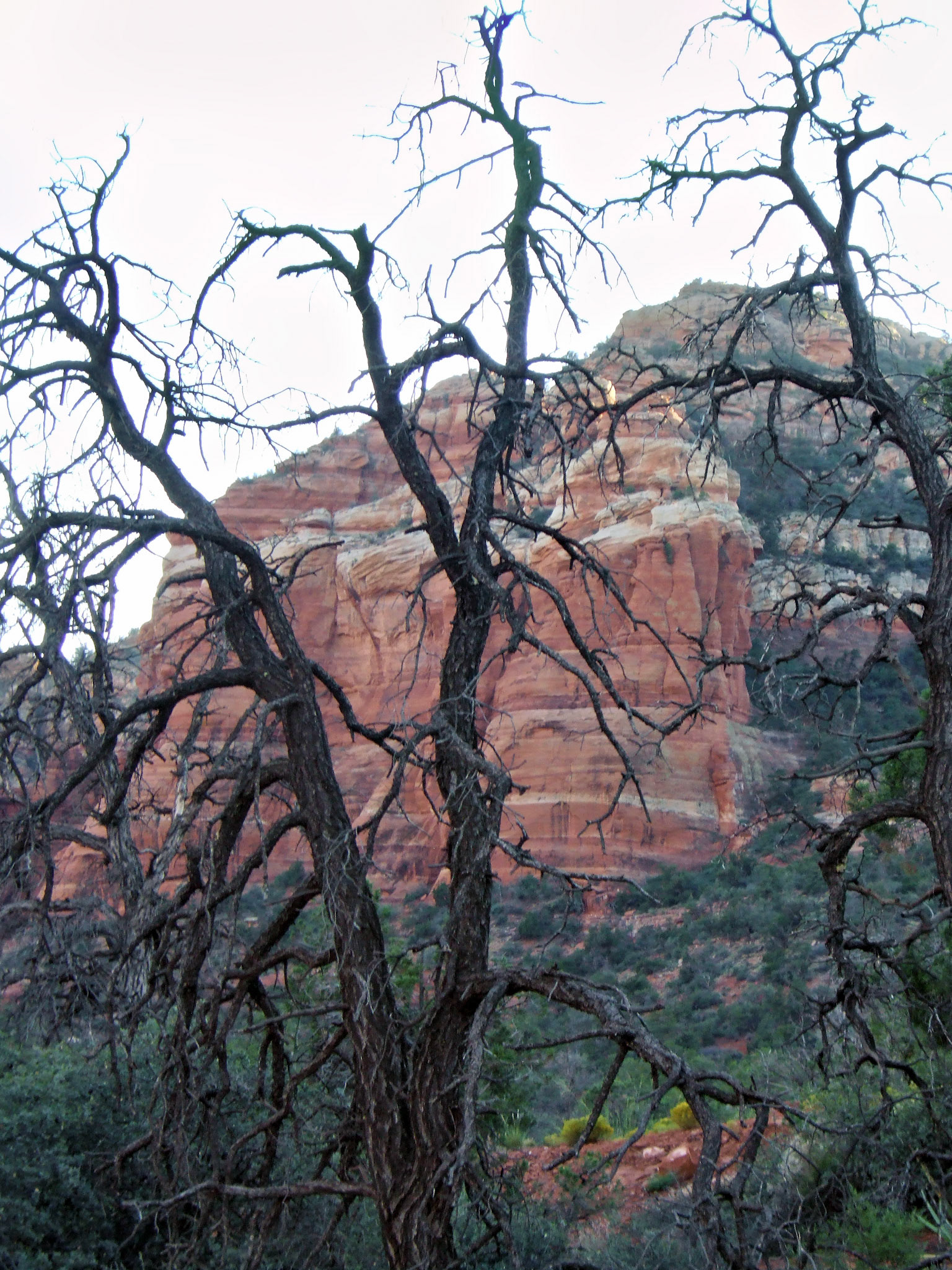 AZ_20060917_0793_PS