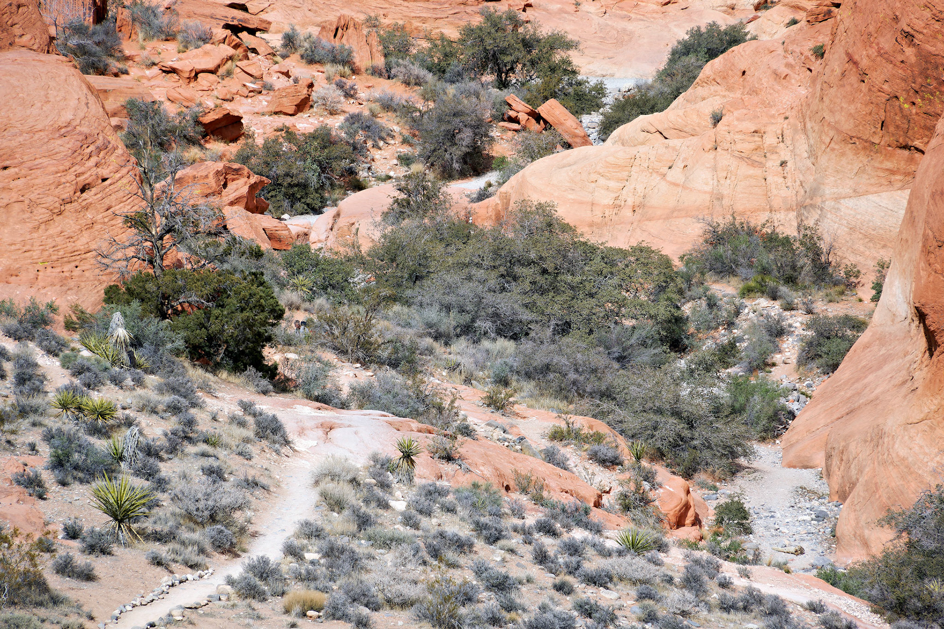NV_Deserts_20120312_0060_PS.tif
