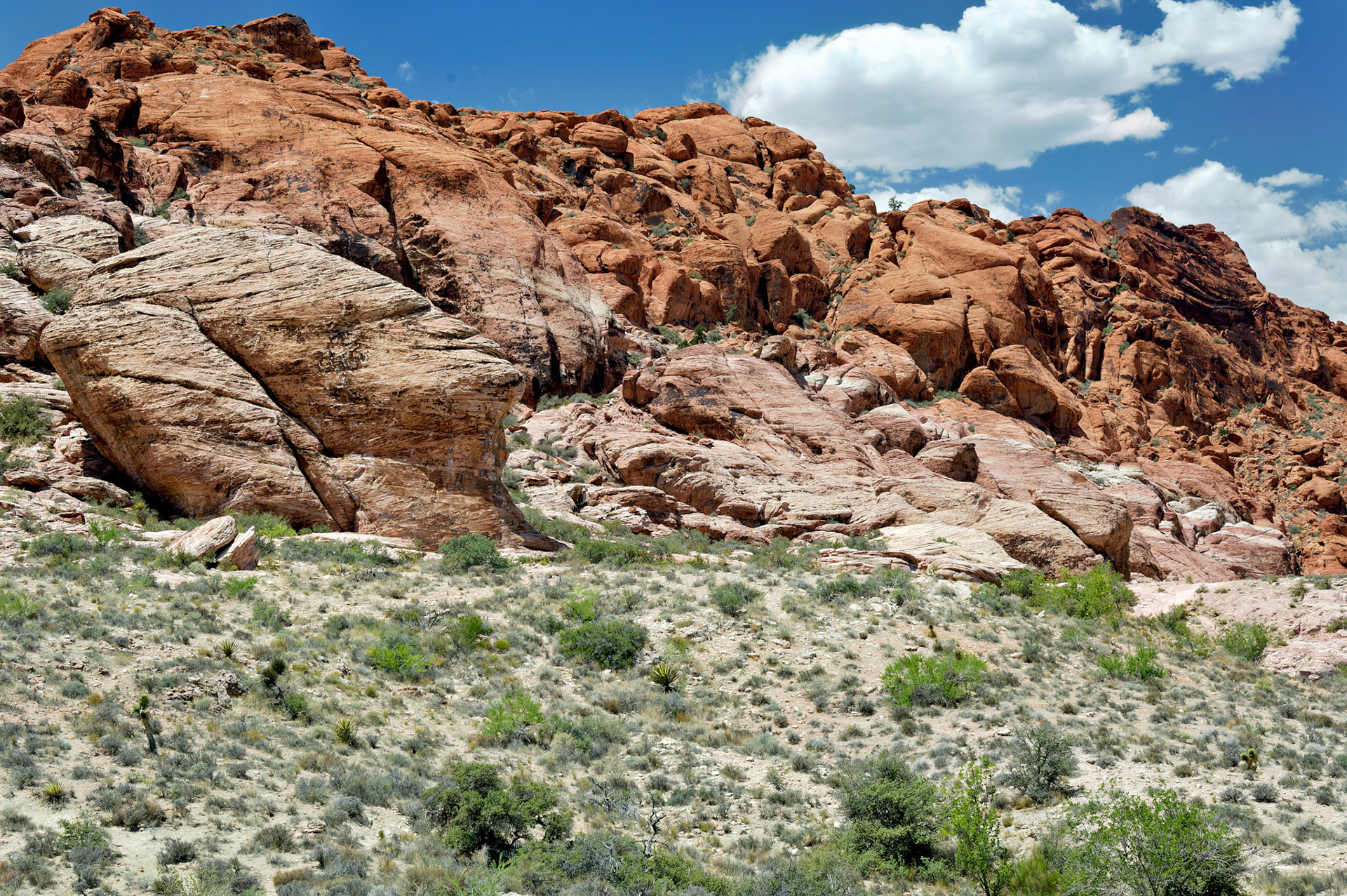 NV_Deserts_20070531_0014_PS.tif