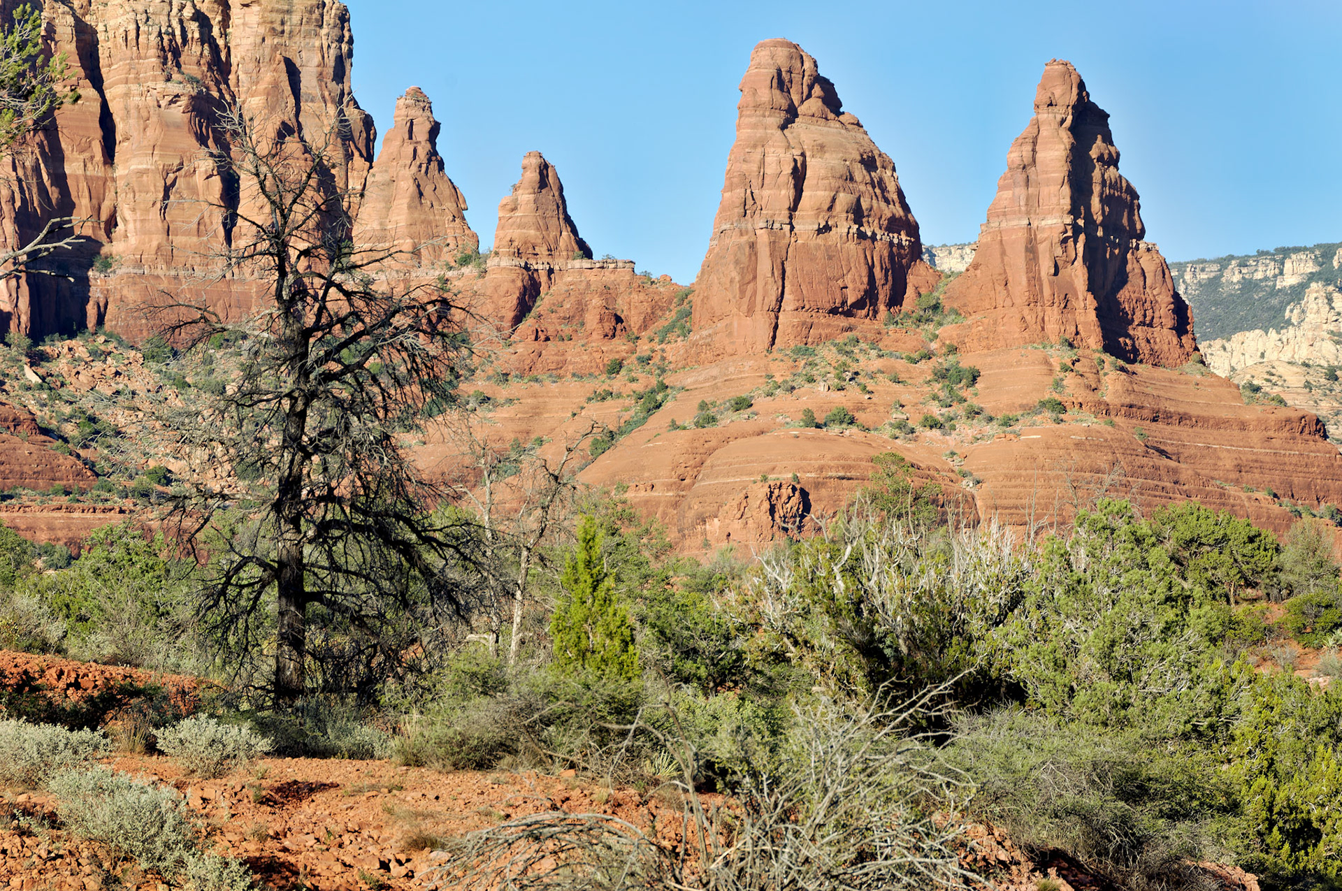 AZ_20060917_0126_PS.dng