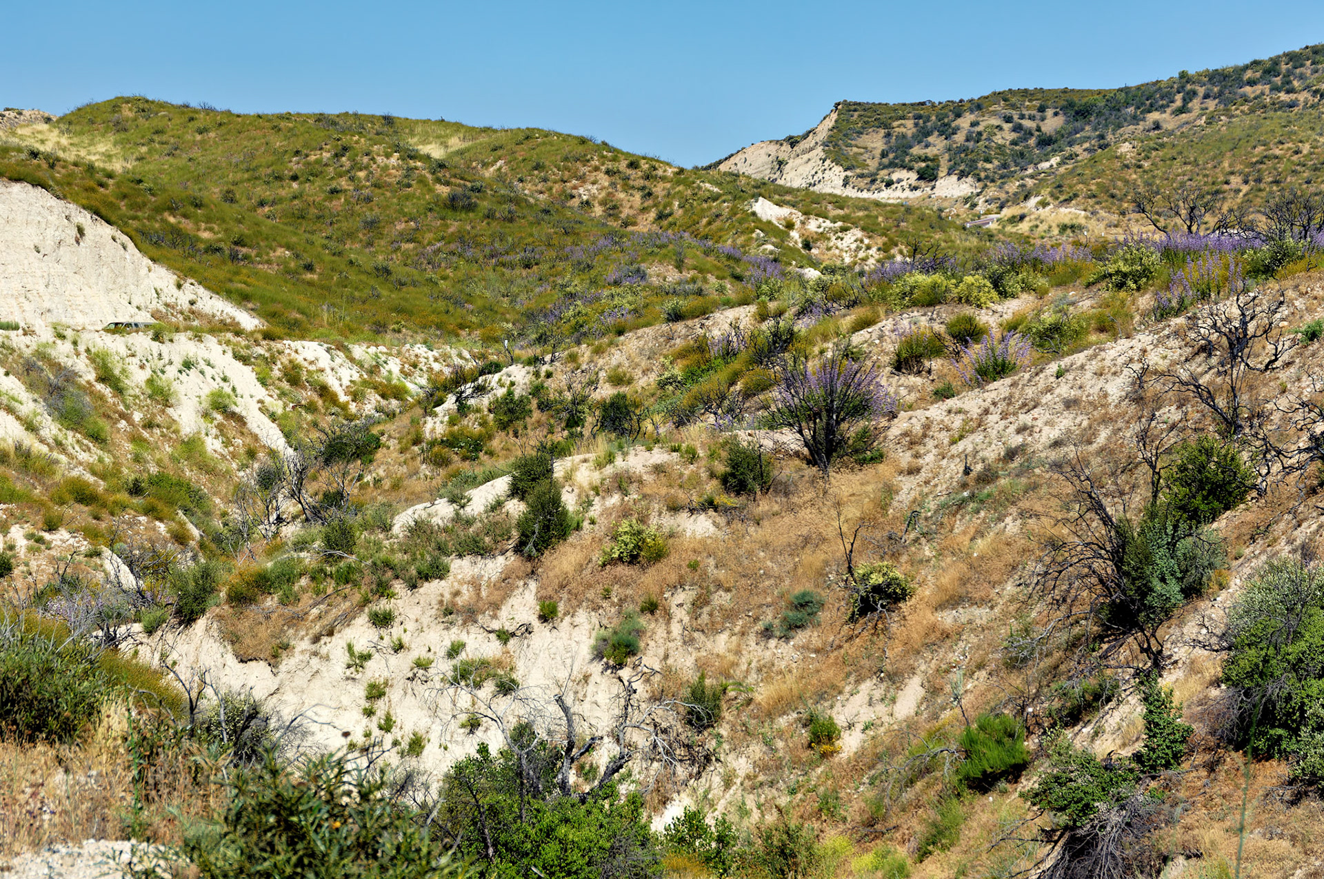CA_20050613_0035_PS