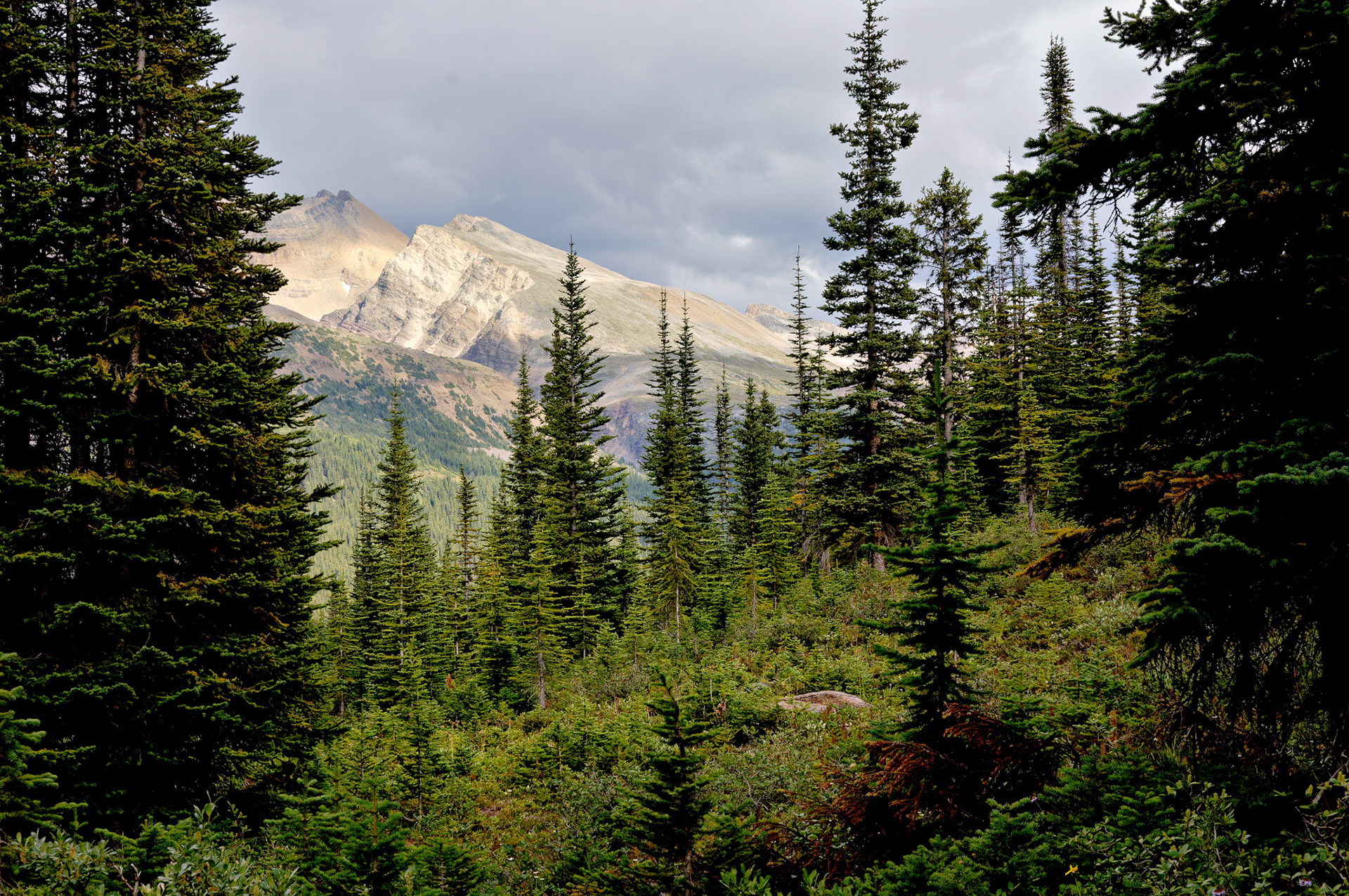 CN_20060802_0256_PS