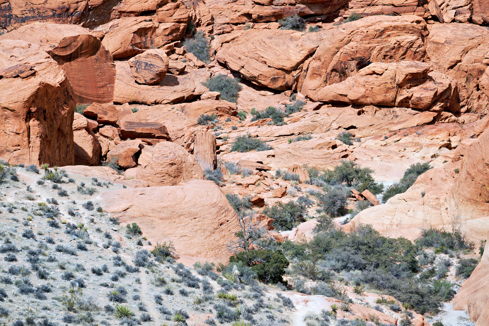 NV_Deserts_20120312_0061_PS.tif