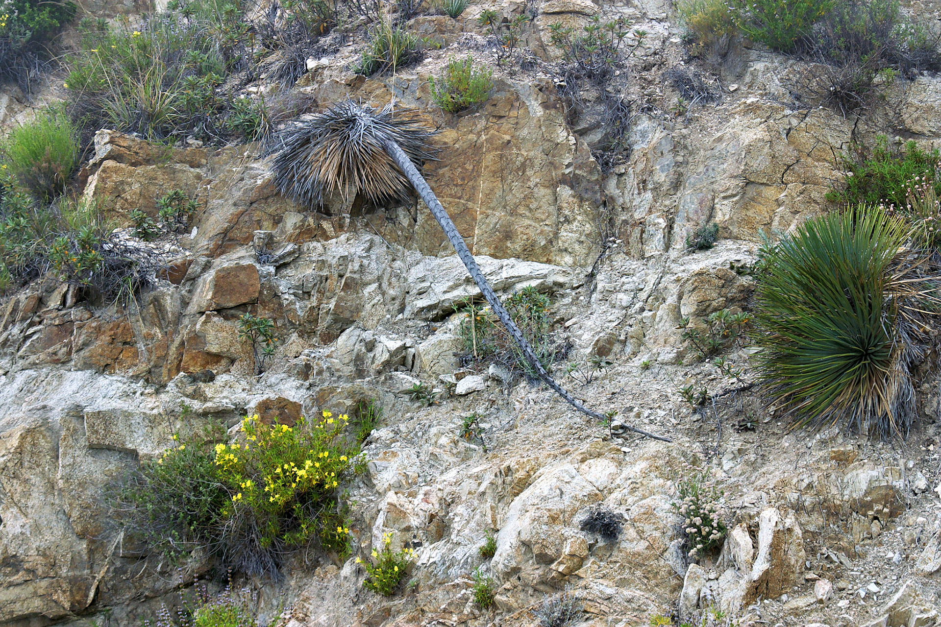 CA_LA_20030514_0018_PS