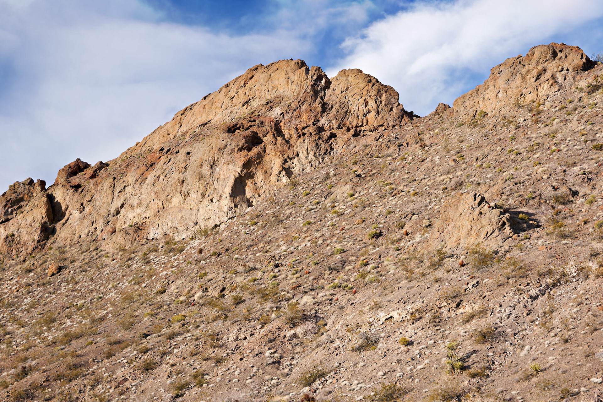 NV_Deserts_20120314_0353_PS