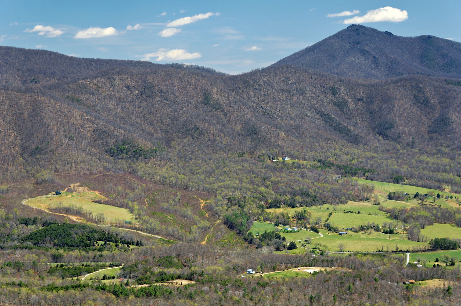 VA_BlueRidge_20060405_0099_PS