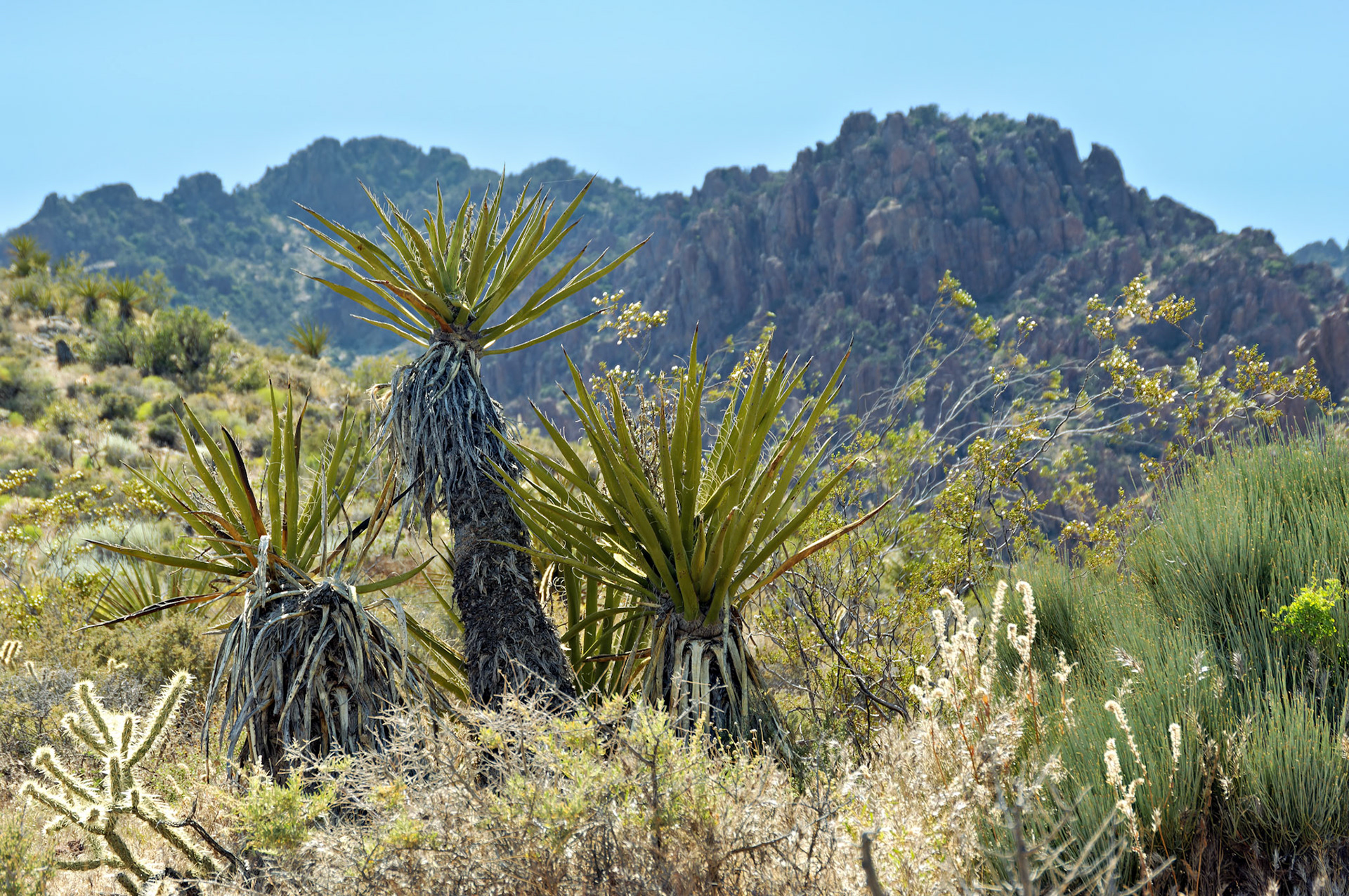 CA_20050614_0153_PS
