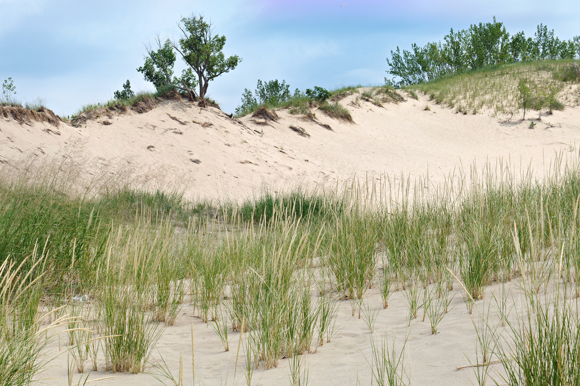 MI_New BuffaloArea_20150808_0108_PS