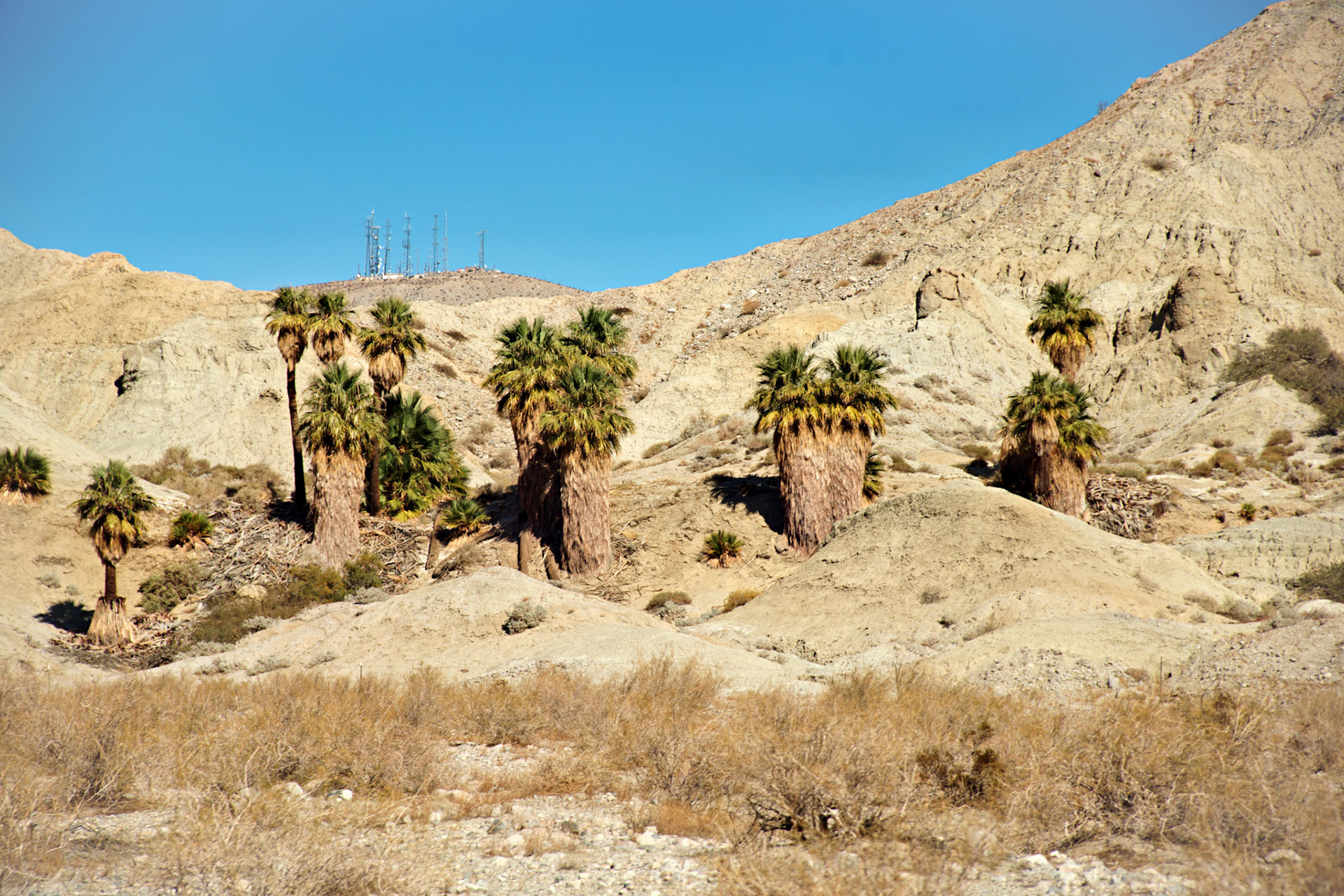 CA_PalmSprings_20111117_0507_PS