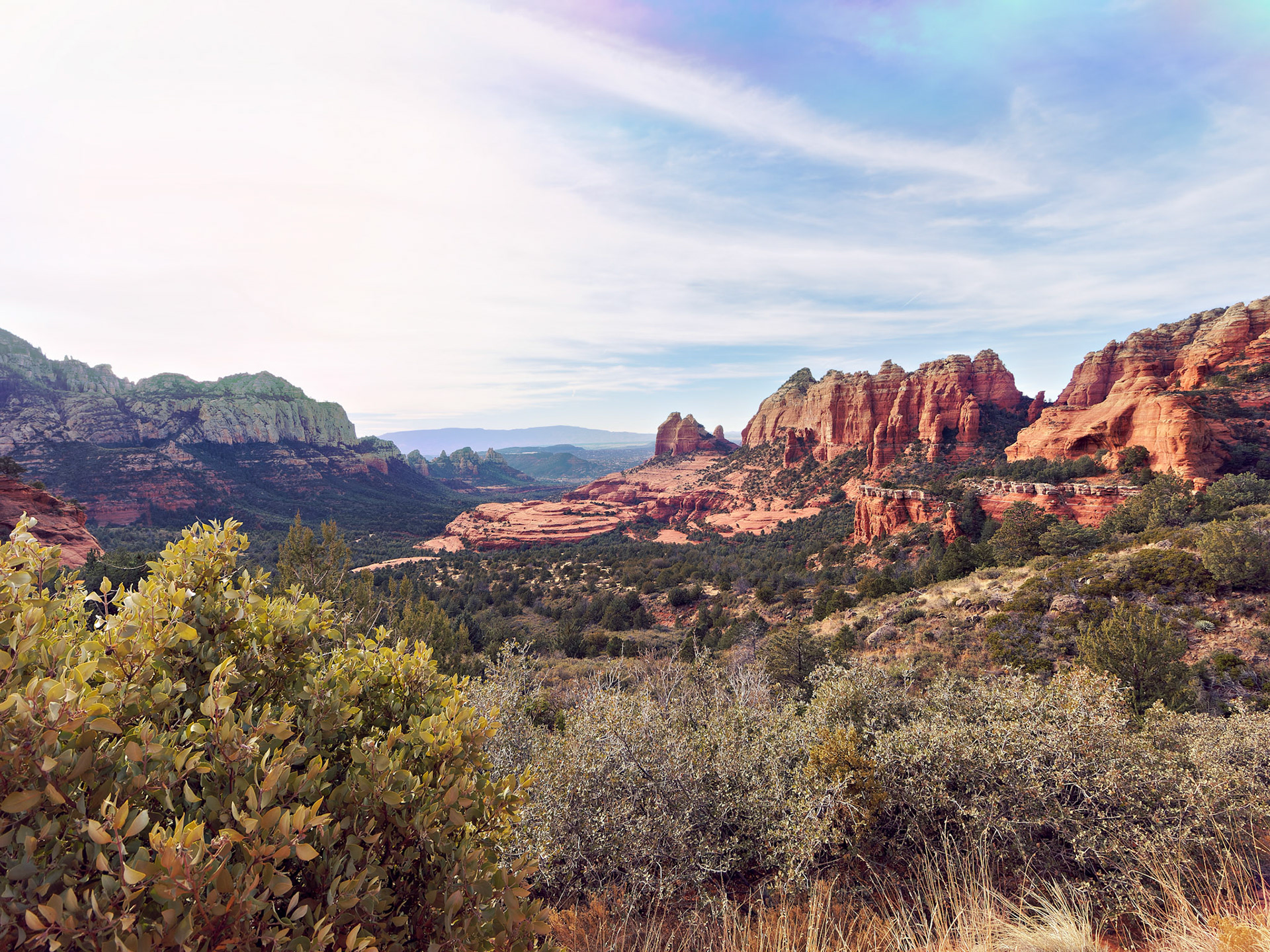 AZ_20121211_0736_PS