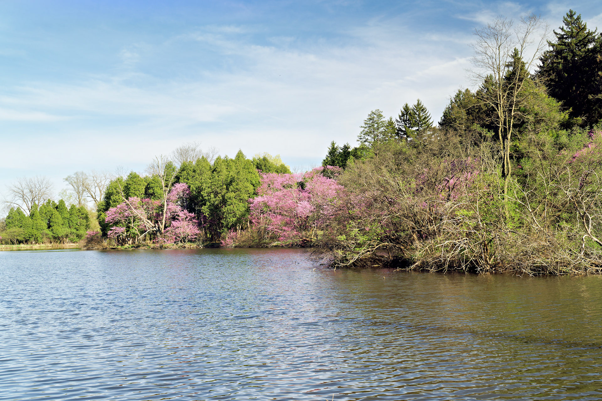IL_Morton Arboretum_20170422_0782_PS