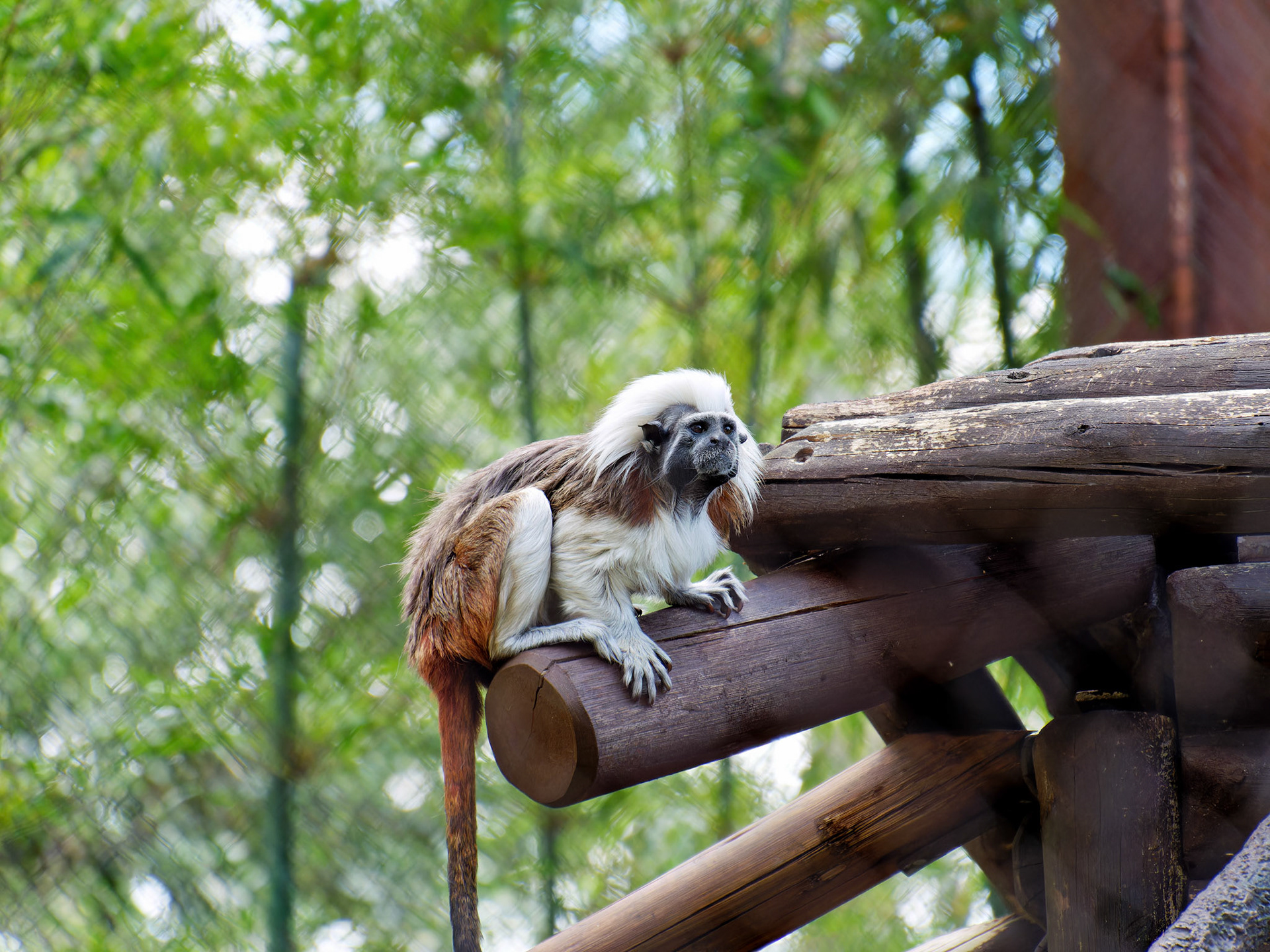 Wildlife_20180425_0732_PS