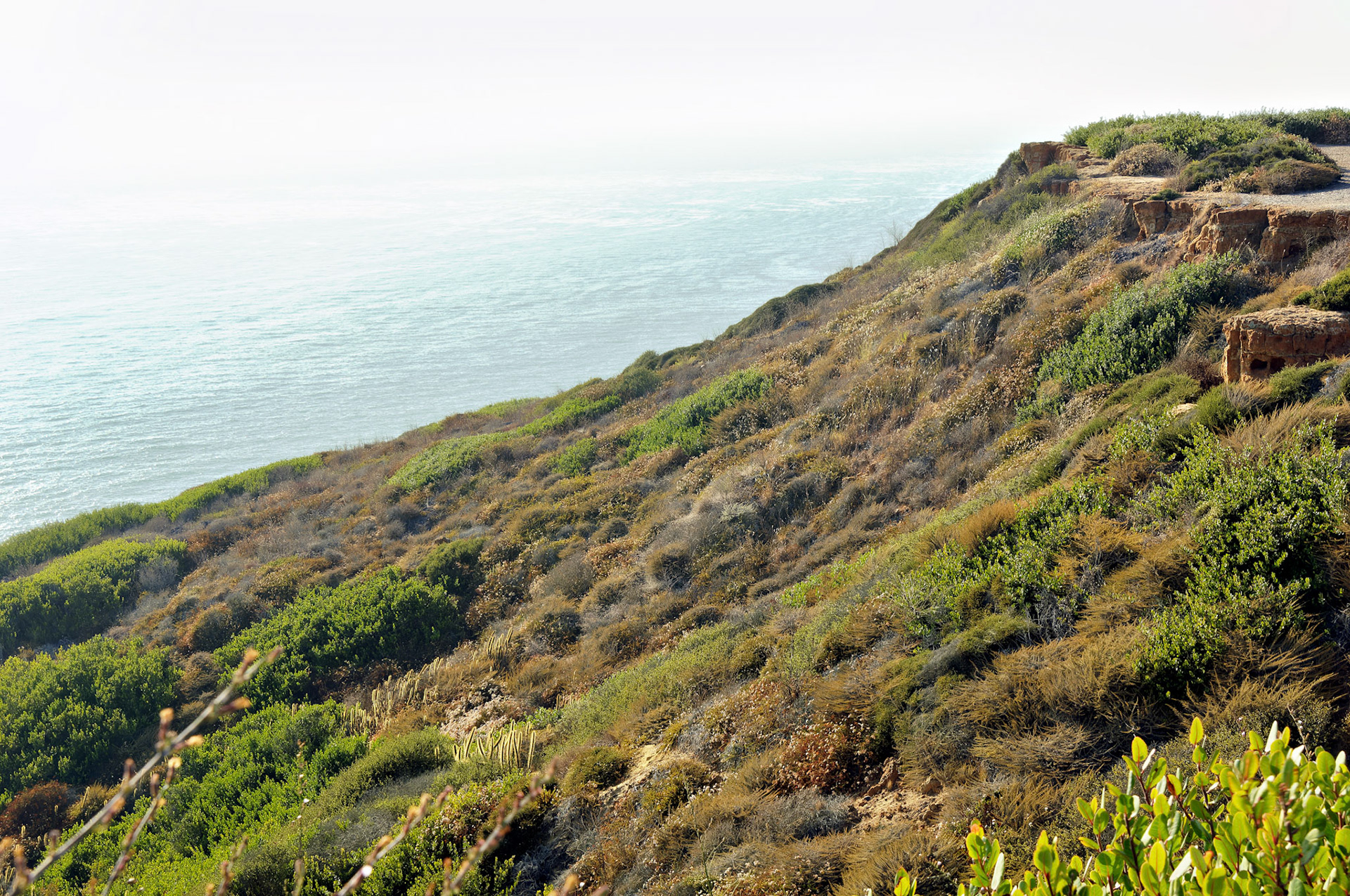 CA_SanDiego_20050728_0090_PS.dng