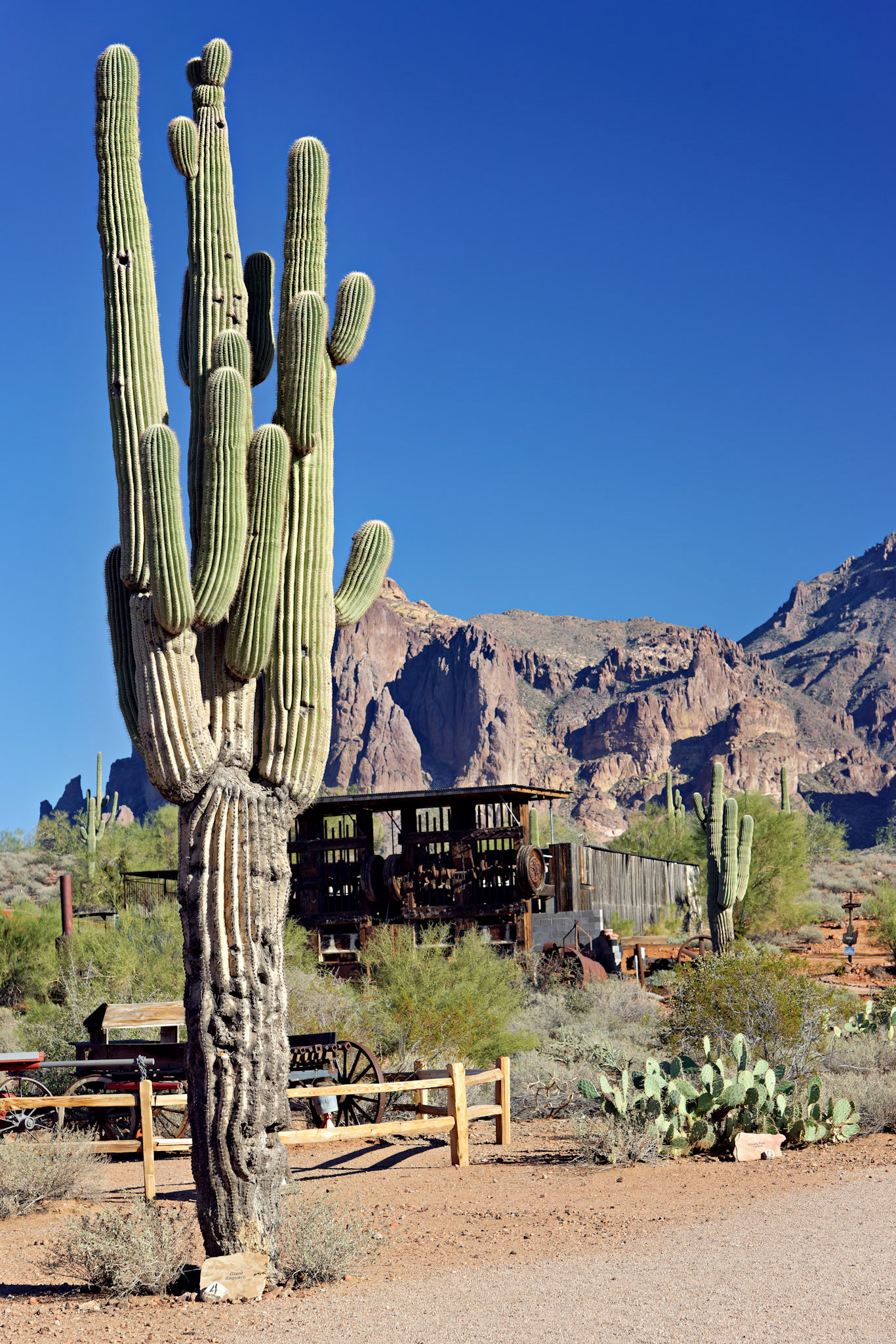 AZ_20121209_0334_PS