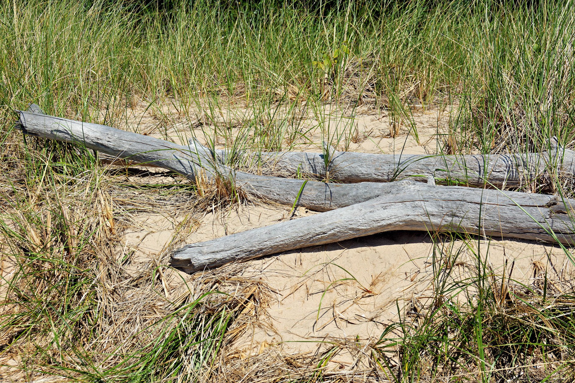 MI_LakeMichigan_20160810_0034_PS