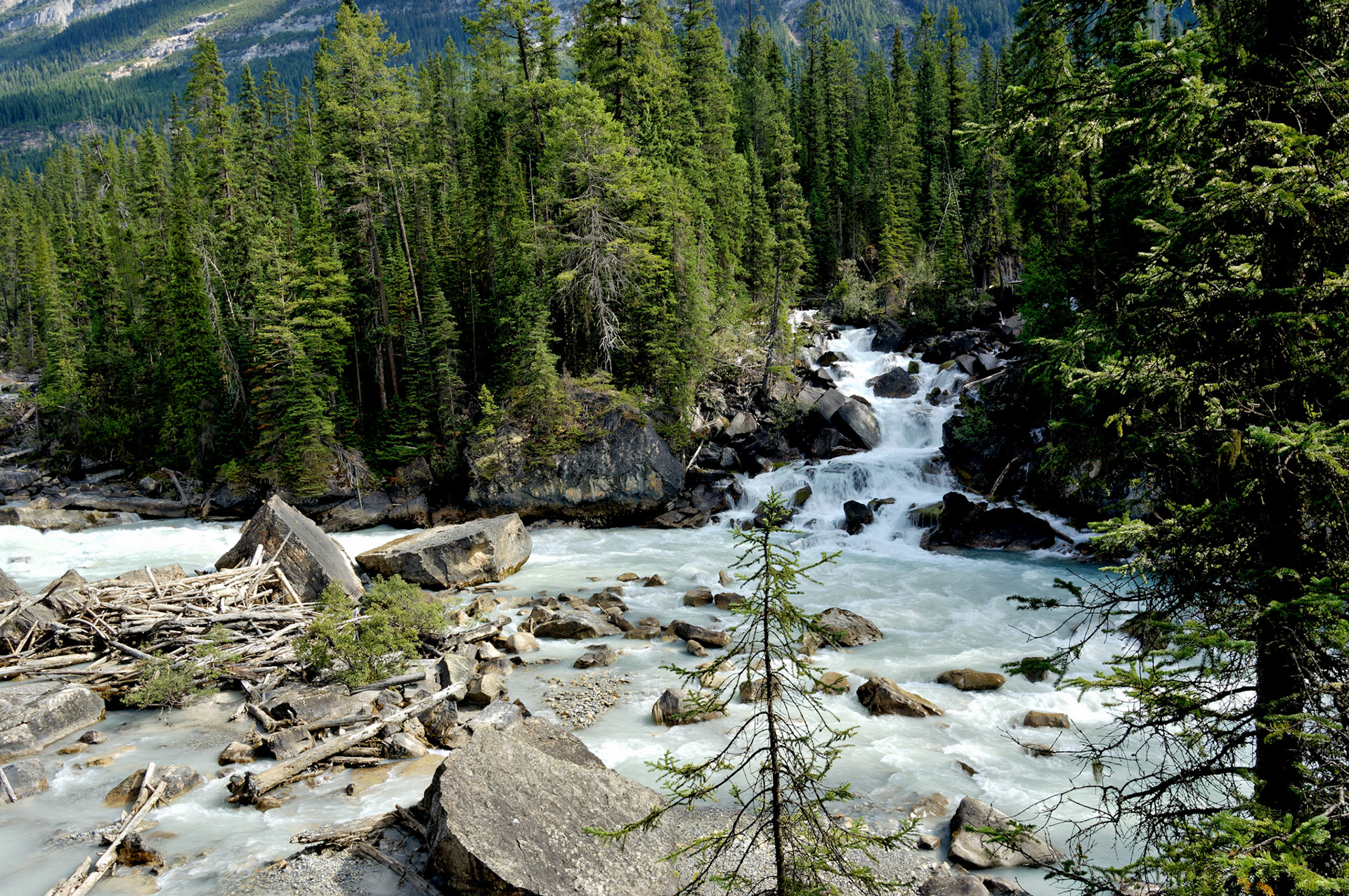 CN_20060803_0580_PS