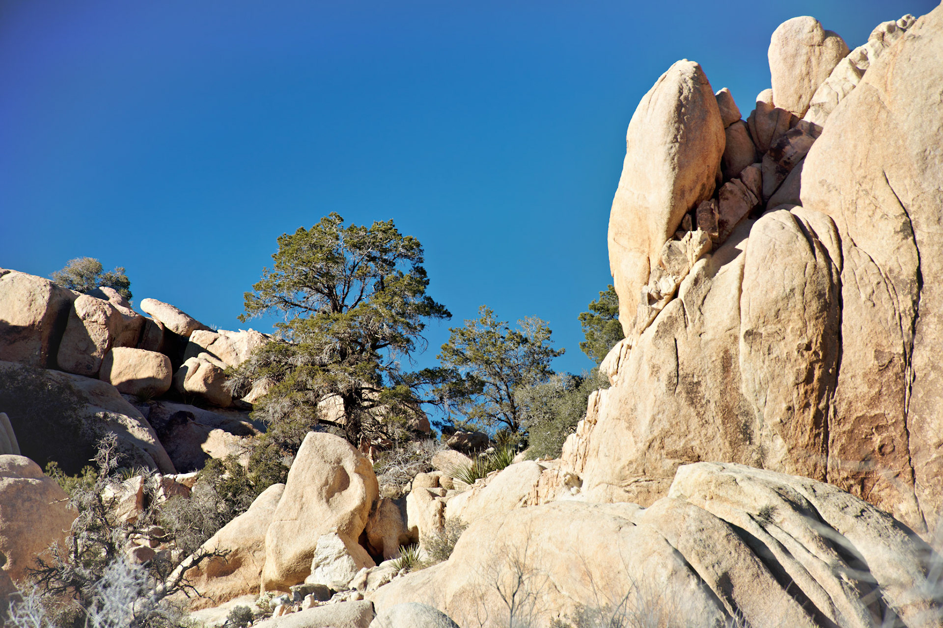 CA_PalmSprings_20090115_0262_PS