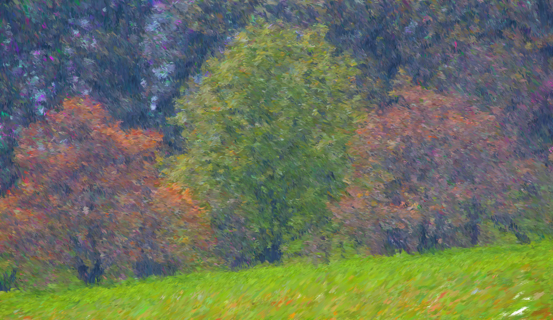 Painting__DSC2202_PaintingIMP